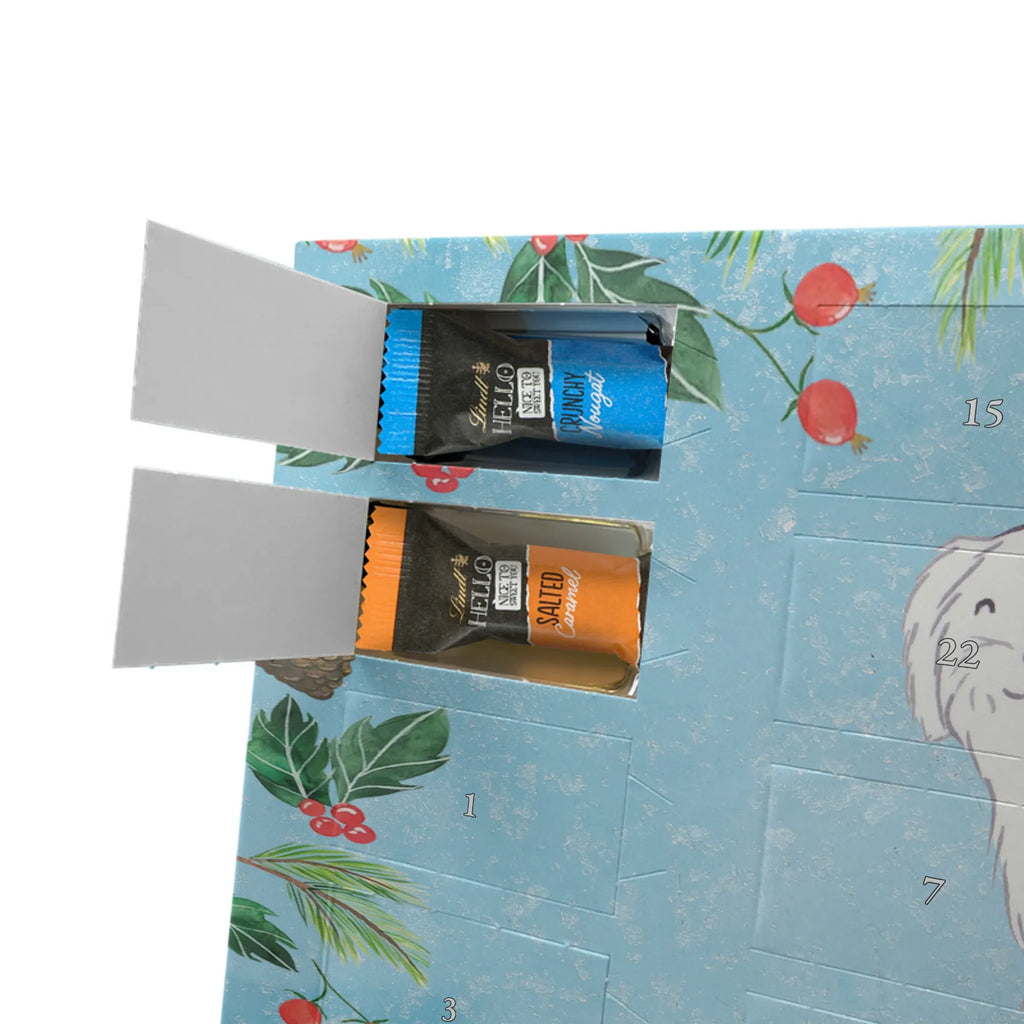 Adventskalender Malteser Moment Weihnachtskalender Schokolade, adventskalender mit pralinen, adventskalender süßigkeiten, weihnachtskalender schoko, Schoko Adventskalender, adventskalender pralinen, schokokalender, pralinen adventskalender, Schokoladen Adventskalender, schoko weihnachtskalender, advent kalender, kalender schokolade, adventskalender mit schokolade, süßigkeiten adventskalender, schoko kalender, Adventskalender Schokolade, süßigkeiten kalender, adventskalender mit süßigkeiten, Weihnachtskalender, Adventskalender, schokoladenkalender, schokolade adventskalender, schokoladen kalender, Welpe, Tierfreund, Hundebesitzer, Rassehund, Hunderasse, Hund, Schenken, Geschenk, Malteser