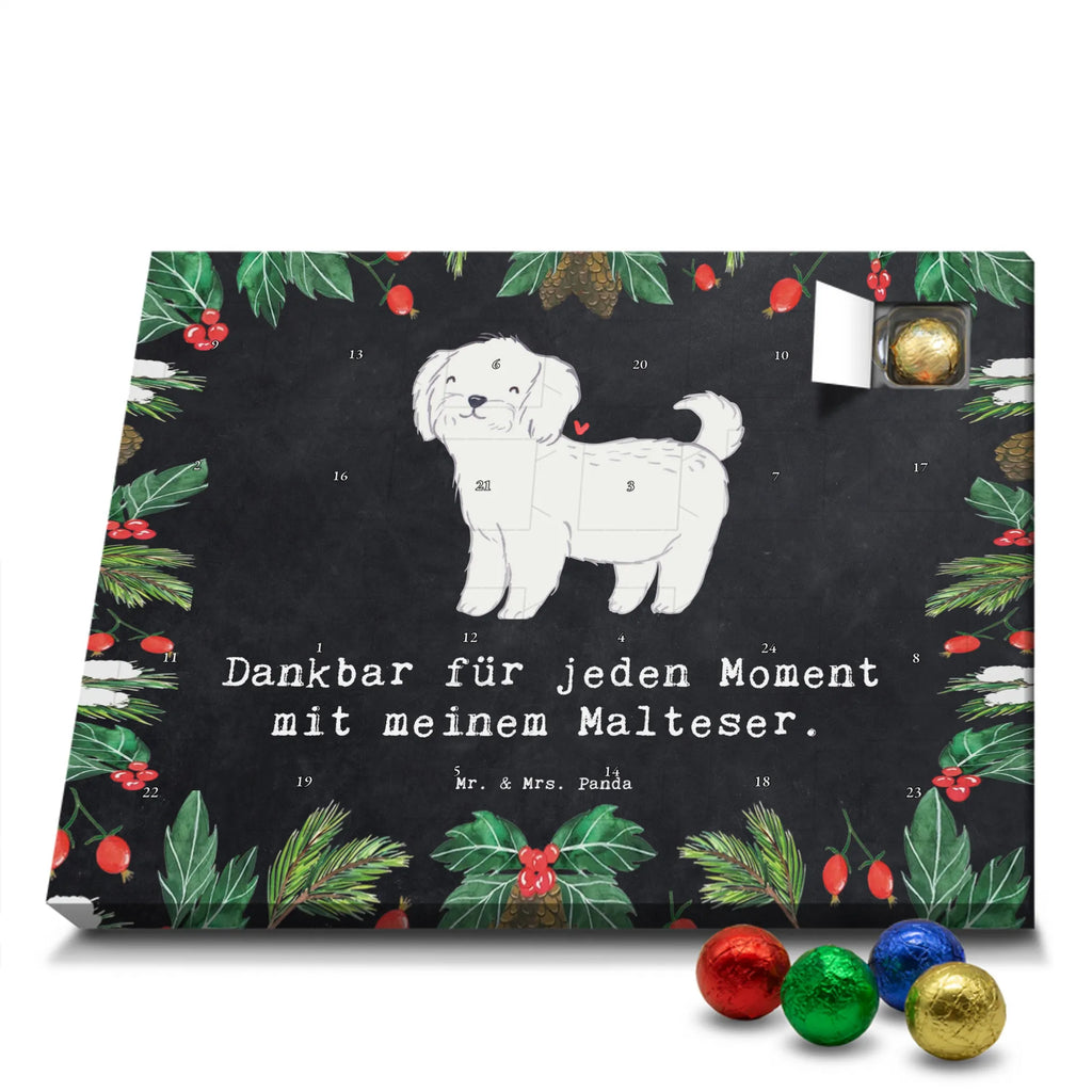 Adventskalender Malteser Moment Weihnachtskalender Schokolade, adventskalender mit pralinen, adventskalender süßigkeiten, weihnachtskalender schoko, Schoko Adventskalender, adventskalender pralinen, schokokalender, pralinen adventskalender, Schokoladen Adventskalender, schoko weihnachtskalender, advent kalender, kalender schokolade, adventskalender mit schokolade, süßigkeiten adventskalender, schoko kalender, Adventskalender Schokolade, süßigkeiten kalender, adventskalender mit süßigkeiten, Weihnachtskalender, Adventskalender, schokoladenkalender, schokolade adventskalender, schokoladen kalender, Welpe, Tierfreund, Hundebesitzer, Rassehund, Hunderasse, Hund, Schenken, Geschenk, Malteser