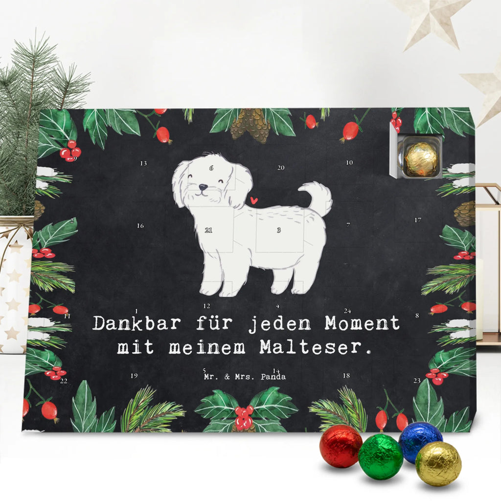 Adventskalender Malteser Moment Weihnachtskalender Schokolade, adventskalender mit pralinen, adventskalender süßigkeiten, weihnachtskalender schoko, Schoko Adventskalender, adventskalender pralinen, schokokalender, pralinen adventskalender, Schokoladen Adventskalender, schoko weihnachtskalender, advent kalender, kalender schokolade, adventskalender mit schokolade, süßigkeiten adventskalender, schoko kalender, Adventskalender Schokolade, süßigkeiten kalender, adventskalender mit süßigkeiten, Weihnachtskalender, Adventskalender, schokoladenkalender, schokolade adventskalender, schokoladen kalender, Welpe, Tierfreund, Hundebesitzer, Rassehund, Hunderasse, Hund, Schenken, Geschenk, Malteser