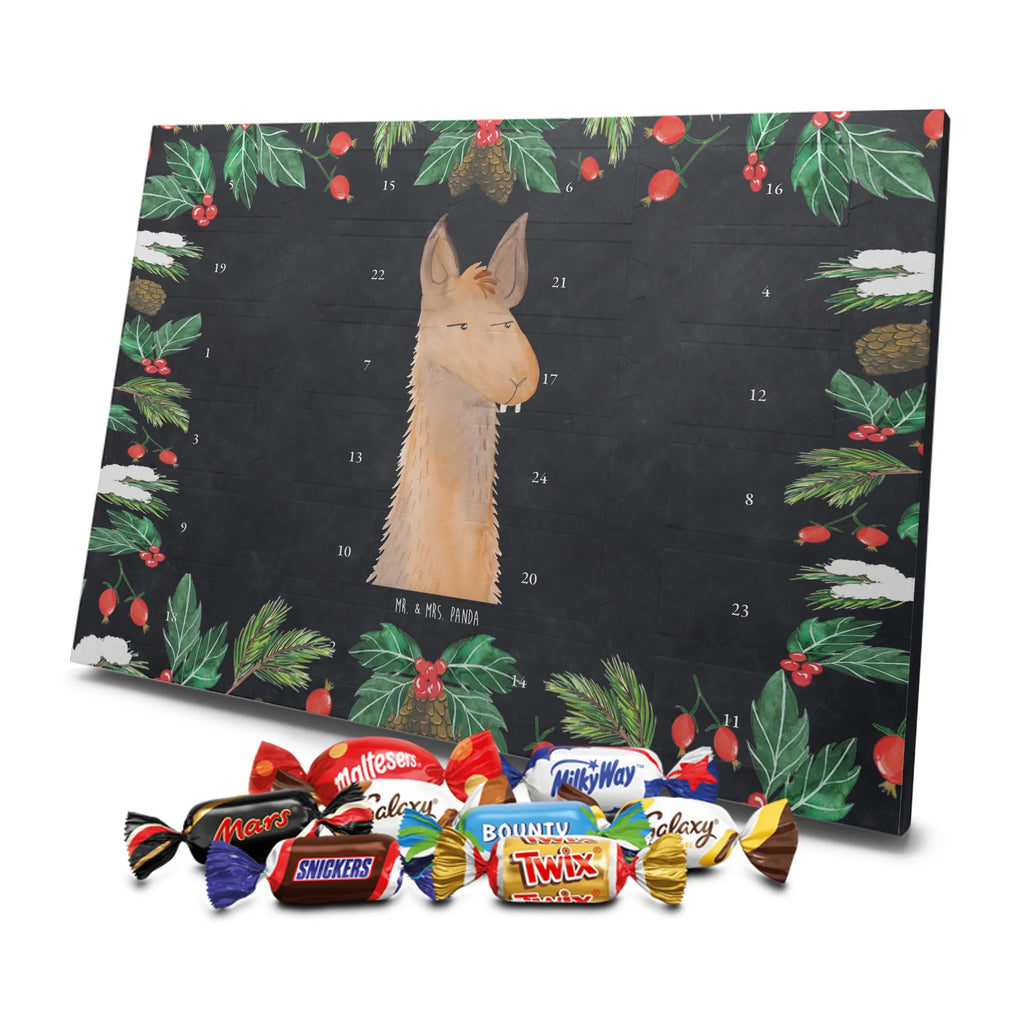 Chocolate advent calendar llama head Annoyed Llama, alpaca, trendy animal, best friend, being right, being annoyed, office life, apprentice, girlfriend