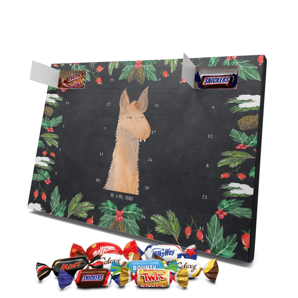 Chocolate advent calendar llama head Annoyed Llama, alpaca, trendy animal, best friend, being right, being annoyed, office life, apprentice, girlfriend