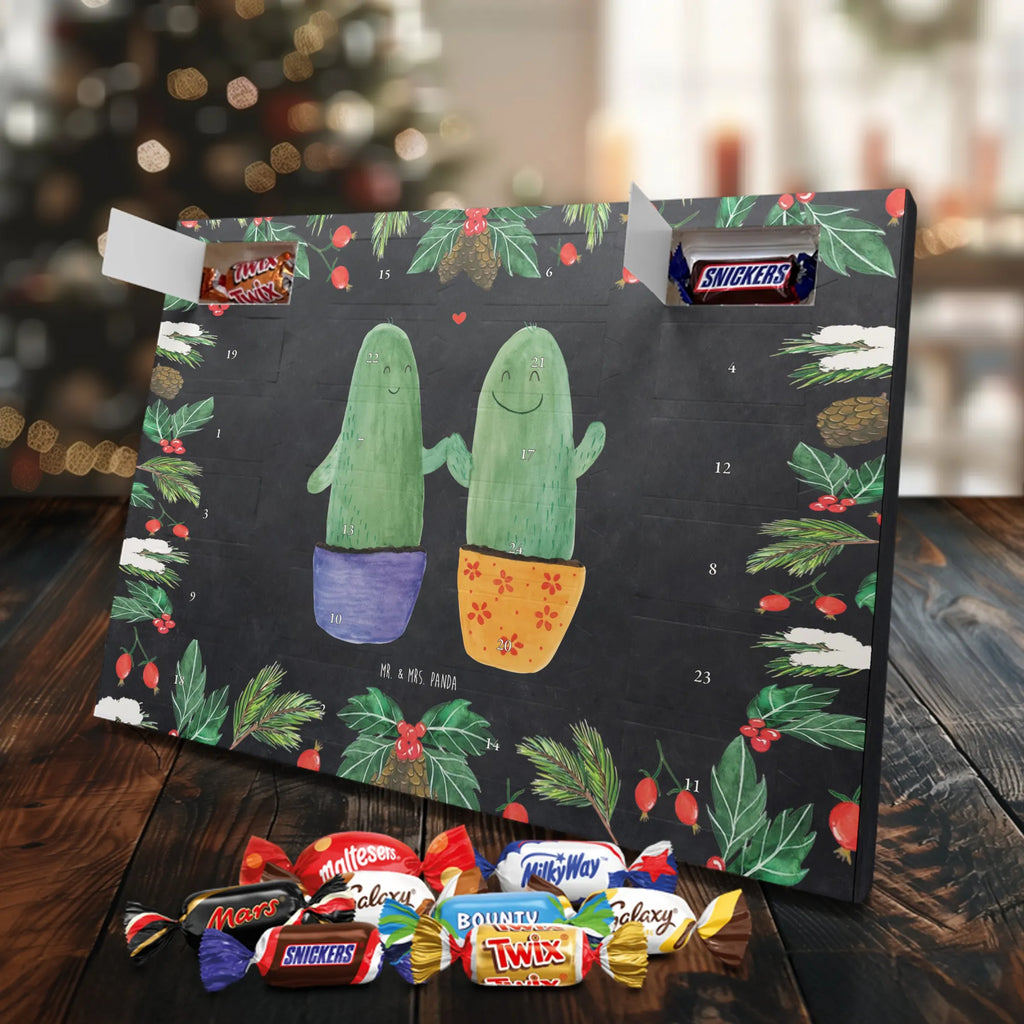 Chocolate advent calendar cactus Love cactus, cactuses, plants, small green cactus, cactus plant, couple, friendship, reconciliation, cactus love, proof of love, quarrel, love message, separation, wedding