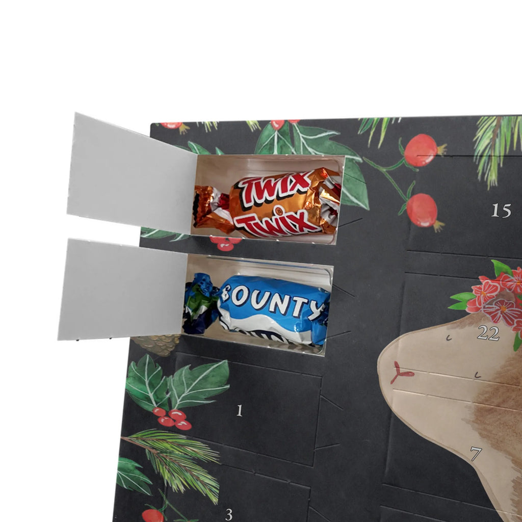 schokolade adventskalender Meerschweinchen Weisheit kalender weihnachten, schokolade adventskalender, schoko kalender, Weihnachtskalender, Weihnachtskalender Schokolade, kalender schokolade, Schokoladen Adventskalender, pralinen adventskalender, schokoladenkalender, adventskalender pralinen, schoko weihnachtskalender, Schokoladen-Adventskalender, Adventskalender Schokolade, süßigkeiten kalender, Schoko-Adventskalender, adventskalender schoko, schokoladen kalender, adventskalender süßigkeiten, Schokoladen-Weihnachtskalender, schokokalender, weihnachtskalender schoko, Adventskalender, süßigkeiten adventskalender, Weihnachts Kalender, Weihnachten Adventskalender, Schoko Adventskalender, Gute Laune, Tiere, Lustige Sprüche, Tiermotive, Blumenkind, Spruch, Weisheit, Wunder, Meeries, Meerie, Meerschweinchen, Realität, Motivation, Wunderland