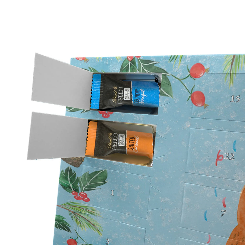 Chocolate advent calendar bear party cuddly toy, teddy bear, Bring a present, Partying, Good mood, Birthday present, Celebrate, Present, Birthday