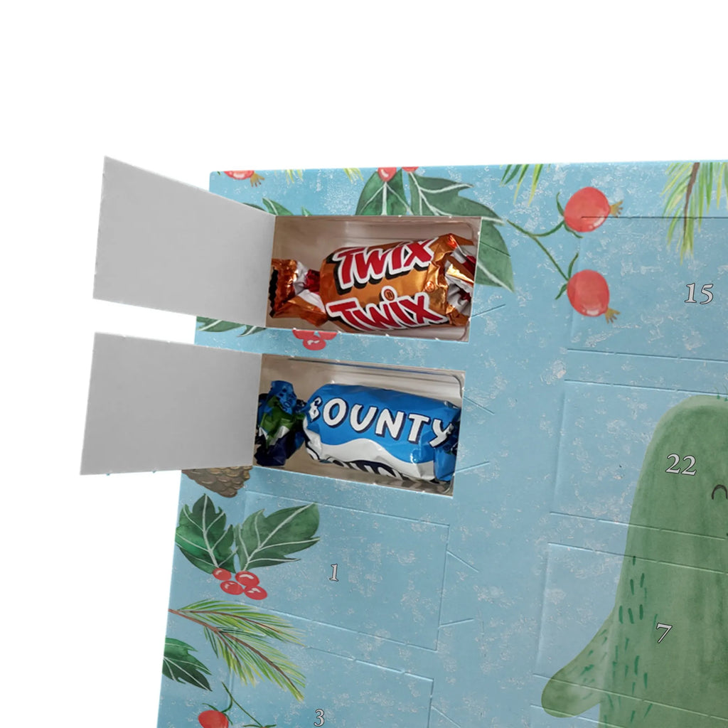 Chocolate advent calendar cactus Love cactus, cactuses, plants, small green cactus, cactus plant, couple, friendship, reconciliation, cactus love, proof of love, quarrel, love message, separation, wedding