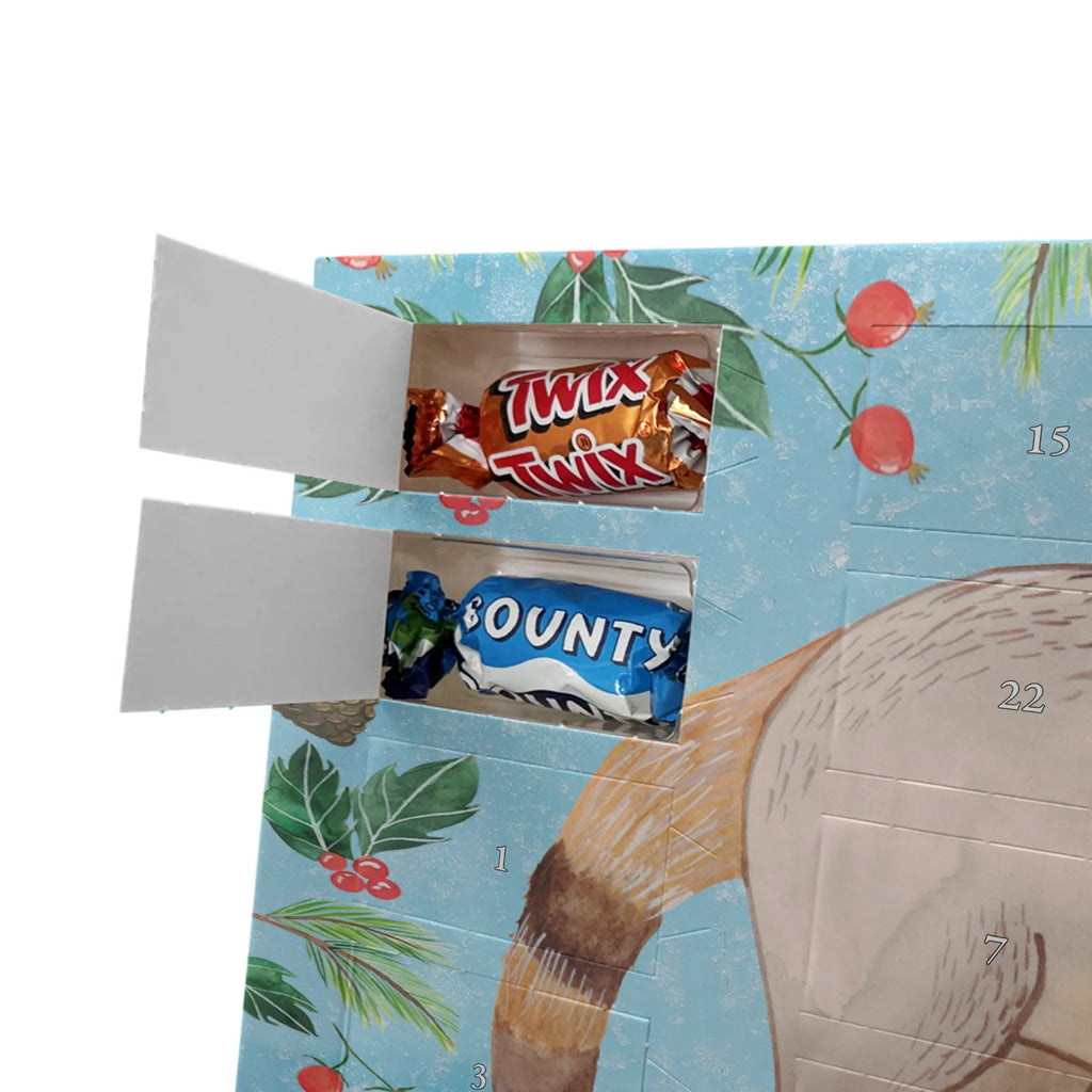 Chocolate advent calendar Coati gift ideas, gifts, small animals, good mood, cute, funny sayings, cute animal motives, hand drawn, special gifts, card, animal lover, Nose bear, trunk bear