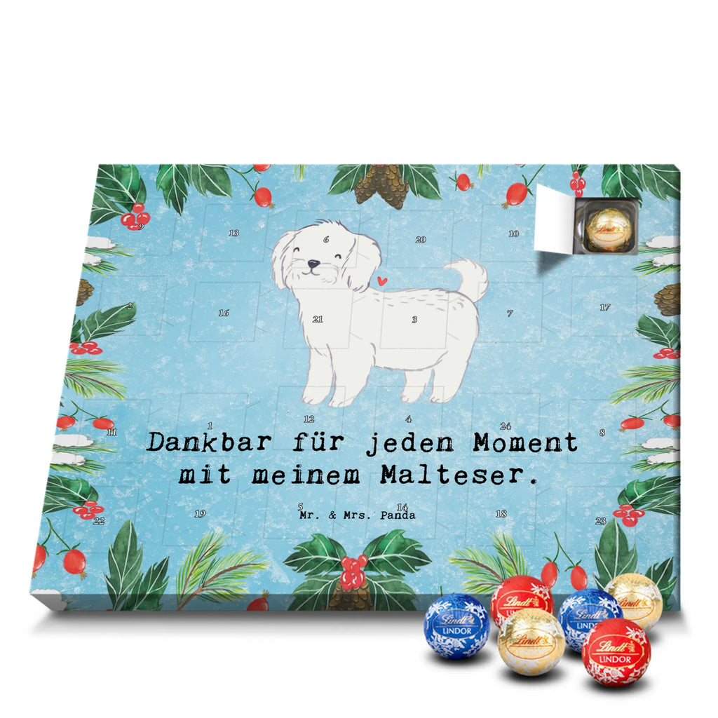 Adventskalender Malteser Moment Weihnachtskalender Schokolade, adventskalender mit pralinen, adventskalender süßigkeiten, weihnachtskalender schoko, Schoko Adventskalender, adventskalender pralinen, schokokalender, pralinen adventskalender, Schokoladen Adventskalender, schoko weihnachtskalender, advent kalender, kalender schokolade, adventskalender mit schokolade, süßigkeiten adventskalender, schoko kalender, Adventskalender Schokolade, süßigkeiten kalender, adventskalender mit süßigkeiten, Weihnachtskalender, Adventskalender, schokoladenkalender, schokolade adventskalender, schokoladen kalender, Welpe, Tierfreund, Hundebesitzer, Rassehund, Hunderasse, Hund, Schenken, Geschenk, Malteser