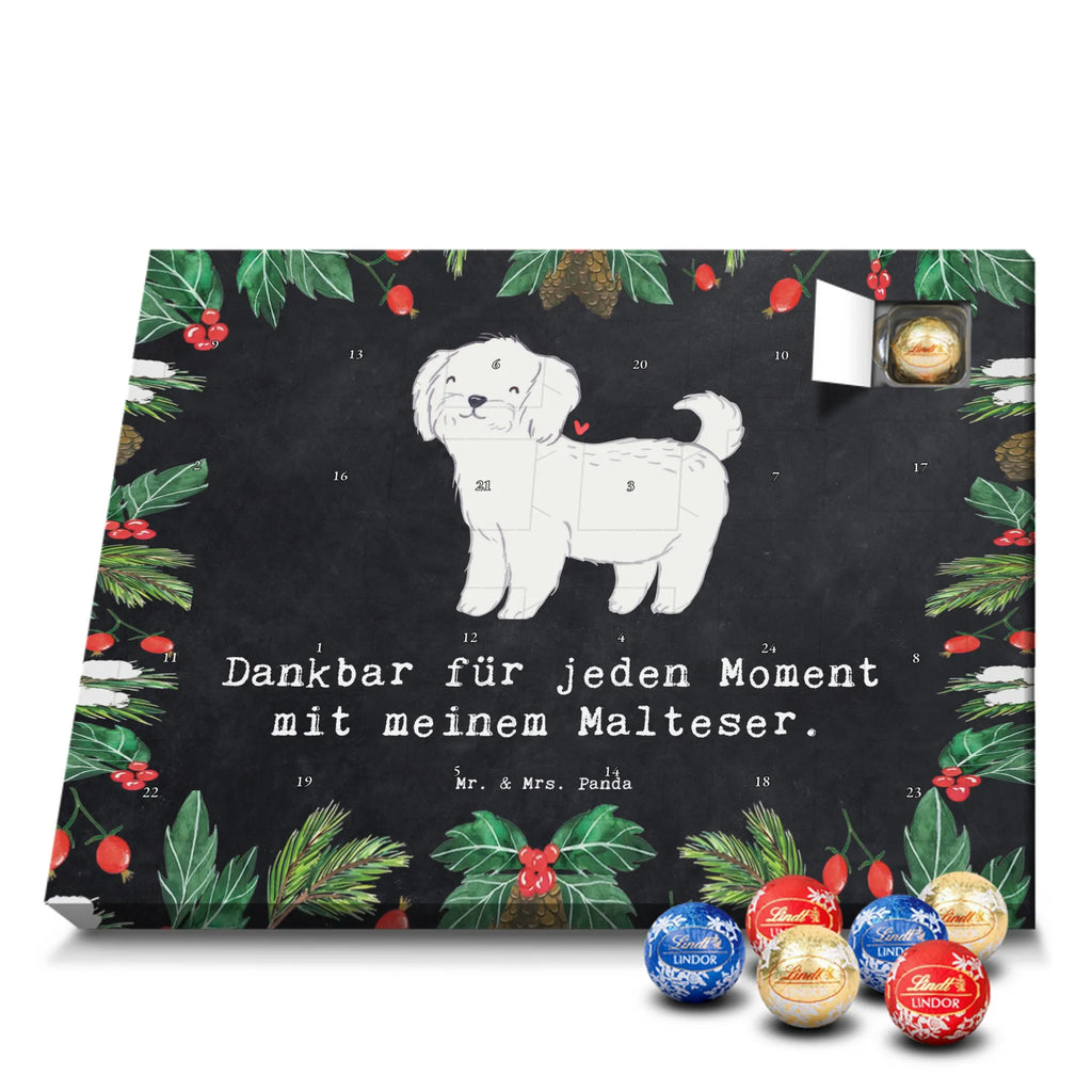 Adventskalender Malteser Moment Weihnachtskalender Schokolade, adventskalender mit pralinen, adventskalender süßigkeiten, weihnachtskalender schoko, Schoko Adventskalender, adventskalender pralinen, schokokalender, pralinen adventskalender, Schokoladen Adventskalender, schoko weihnachtskalender, advent kalender, kalender schokolade, adventskalender mit schokolade, süßigkeiten adventskalender, schoko kalender, Adventskalender Schokolade, süßigkeiten kalender, adventskalender mit süßigkeiten, Weihnachtskalender, Adventskalender, schokoladenkalender, schokolade adventskalender, schokoladen kalender, Welpe, Tierfreund, Hundebesitzer, Rassehund, Hunderasse, Hund, Schenken, Geschenk, Malteser