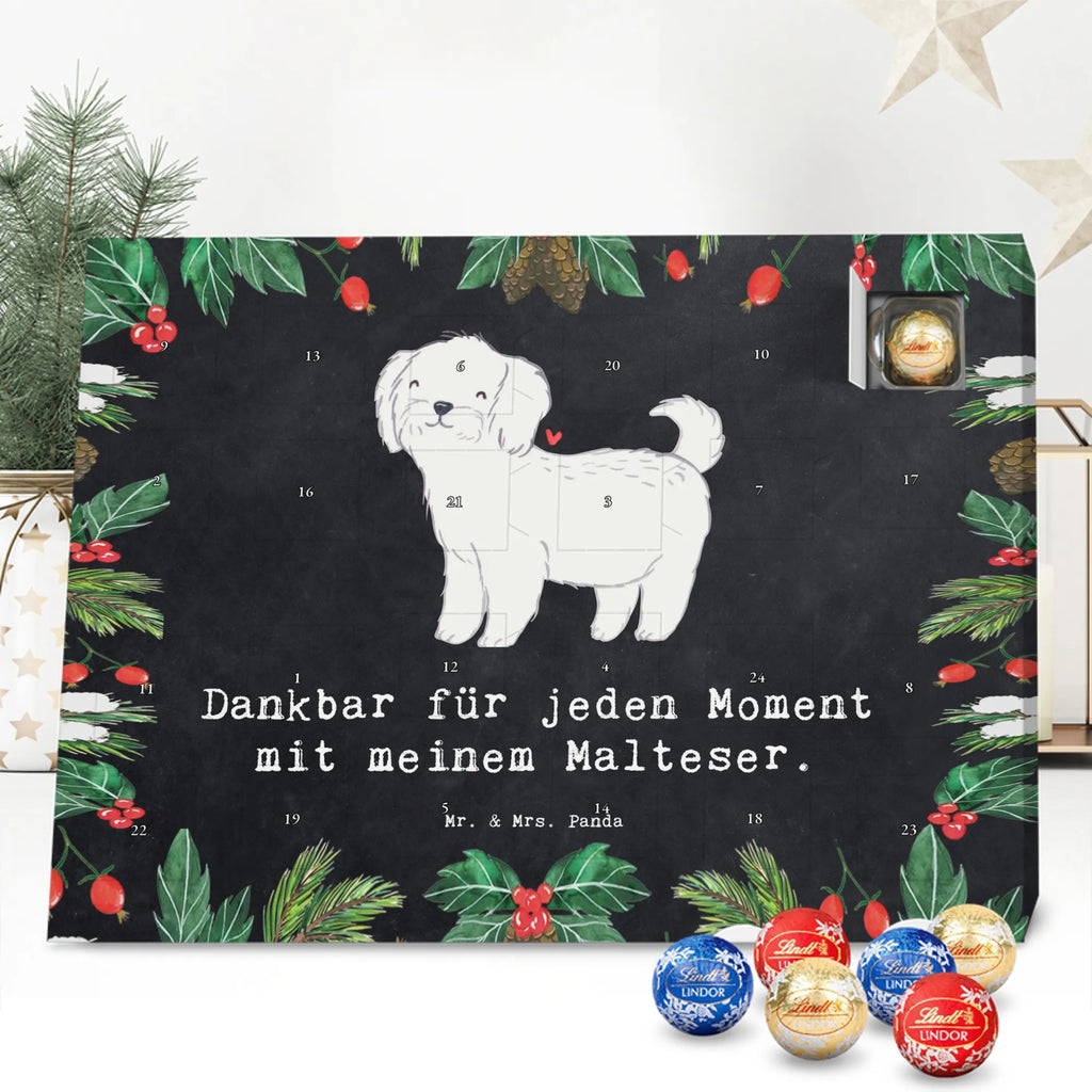 Adventskalender Malteser Moment Weihnachtskalender Schokolade, adventskalender mit pralinen, adventskalender süßigkeiten, weihnachtskalender schoko, Schoko Adventskalender, adventskalender pralinen, schokokalender, pralinen adventskalender, Schokoladen Adventskalender, schoko weihnachtskalender, advent kalender, kalender schokolade, adventskalender mit schokolade, süßigkeiten adventskalender, schoko kalender, Adventskalender Schokolade, süßigkeiten kalender, adventskalender mit süßigkeiten, Weihnachtskalender, Adventskalender, schokoladenkalender, schokolade adventskalender, schokoladen kalender, Welpe, Tierfreund, Hundebesitzer, Rassehund, Hunderasse, Hund, Schenken, Geschenk, Malteser
