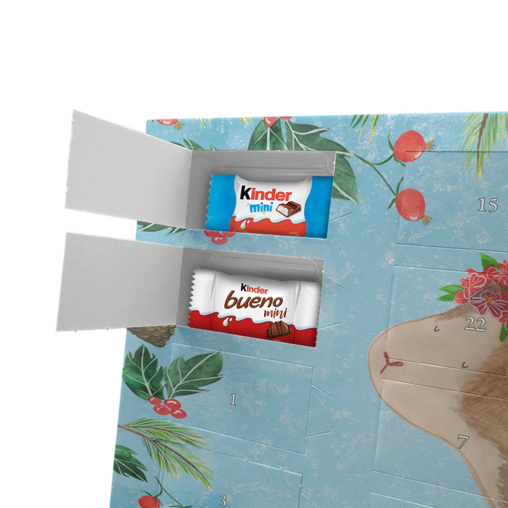 Chocolate advent calendar Guinea pig wisdom gift ideas, gifts, small animals, good mood, cute, funny sayings, cute animal motives, hand drawn, special gifts, card, animal lover, wonderland, flower child, reality, guinea pig, wonder, wisdom, saying