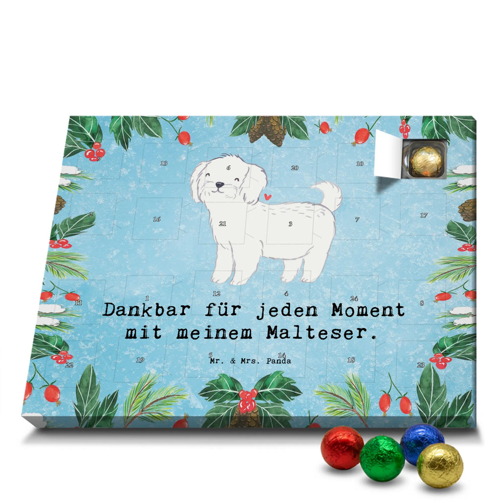 Adventskalender Malteser Moment Weihnachtskalender Schokolade, adventskalender mit pralinen, adventskalender süßigkeiten, weihnachtskalender schoko, Schoko Adventskalender, adventskalender pralinen, schokokalender, pralinen adventskalender, Schokoladen Adventskalender, schoko weihnachtskalender, advent kalender, kalender schokolade, adventskalender mit schokolade, süßigkeiten adventskalender, schoko kalender, Adventskalender Schokolade, süßigkeiten kalender, adventskalender mit süßigkeiten, Weihnachtskalender, Adventskalender, schokoladenkalender, schokolade adventskalender, schokoladen kalender, Welpe, Tierfreund, Hundebesitzer, Rassehund, Hunderasse, Hund, Schenken, Geschenk, Malteser