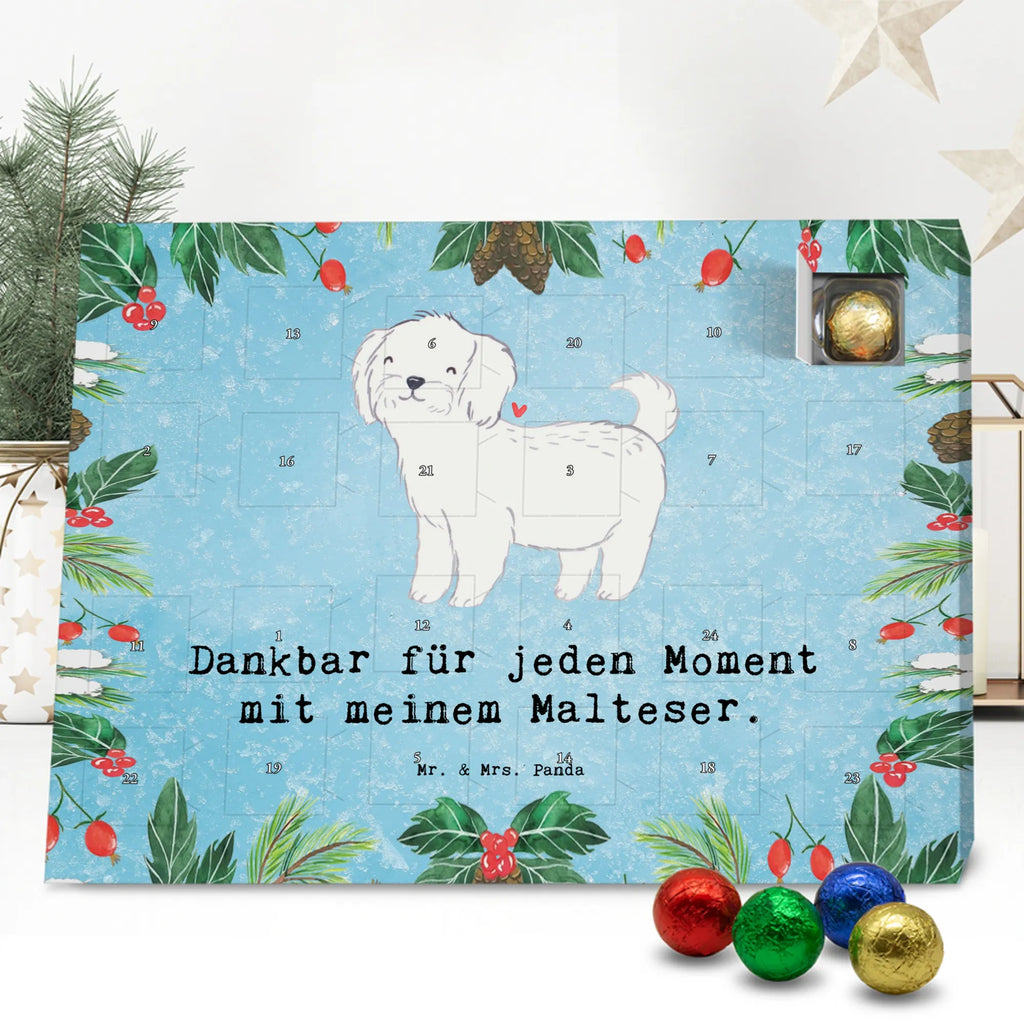 Adventskalender Malteser Moment Weihnachtskalender Schokolade, adventskalender mit pralinen, adventskalender süßigkeiten, weihnachtskalender schoko, Schoko Adventskalender, adventskalender pralinen, schokokalender, pralinen adventskalender, Schokoladen Adventskalender, schoko weihnachtskalender, advent kalender, kalender schokolade, adventskalender mit schokolade, süßigkeiten adventskalender, schoko kalender, Adventskalender Schokolade, süßigkeiten kalender, adventskalender mit süßigkeiten, Weihnachtskalender, Adventskalender, schokoladenkalender, schokolade adventskalender, schokoladen kalender, Welpe, Tierfreund, Hundebesitzer, Rassehund, Hunderasse, Hund, Schenken, Geschenk, Malteser