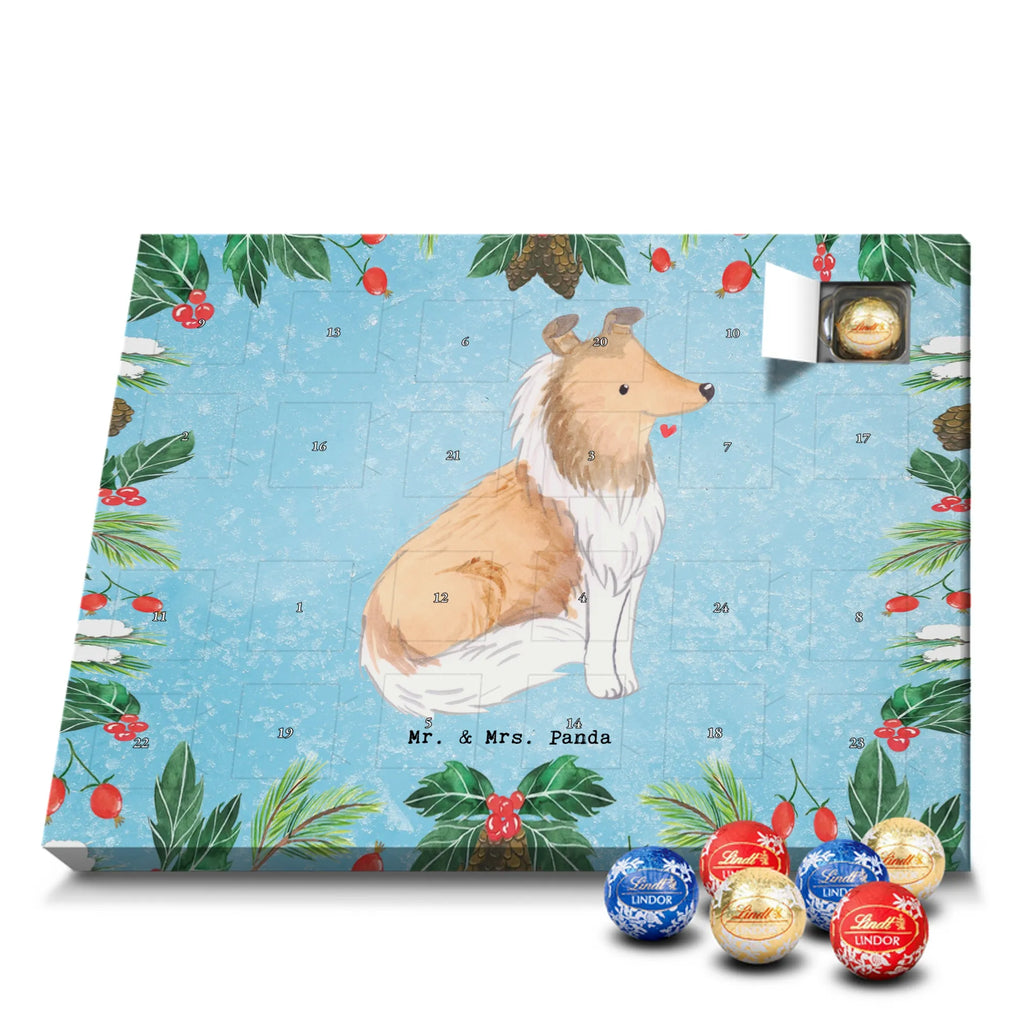 Chocolate advent calendar Long-haired Collie Moment puppy, dog owner, purebred dog, dog breed, giving, animal lover, gift