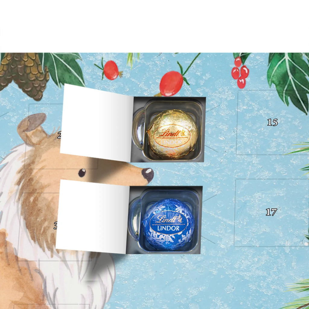 Chocolate advent calendar Long-haired Collie Moment puppy, dog owner, purebred dog, dog breed, giving, animal lover, gift