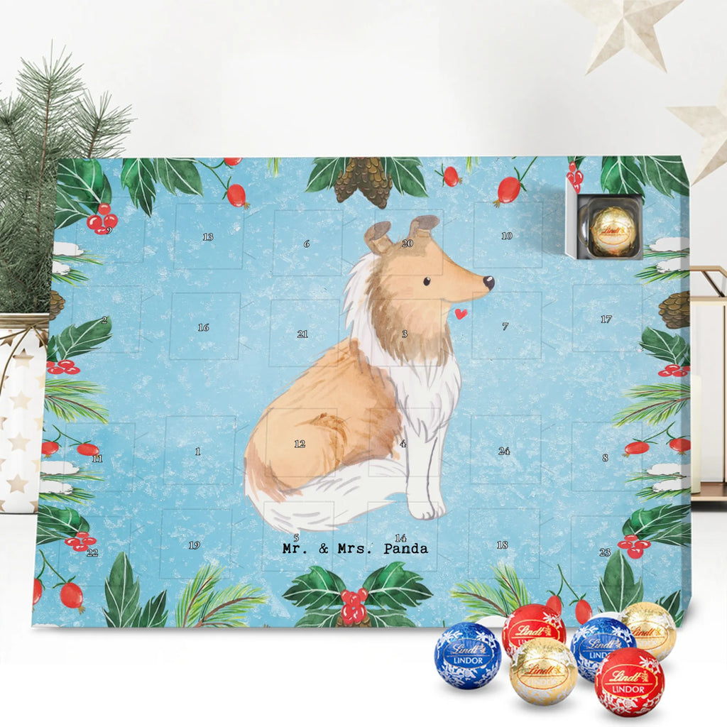 Chocolate advent calendar Long-haired Collie Moment puppy, dog owner, purebred dog, dog breed, giving, animal lover, gift
