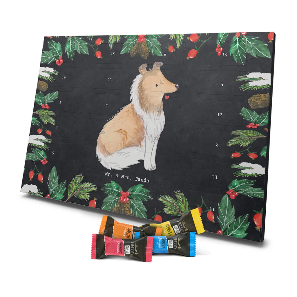 Chocolate advent calendar Long-haired Collie Moment puppy, dog owner, purebred dog, dog breed, giving, animal lover, gift