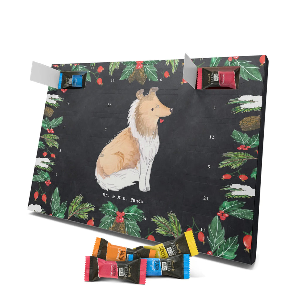 Chocolate advent calendar Long-haired Collie Moment puppy, dog owner, purebred dog, dog breed, giving, animal lover, gift