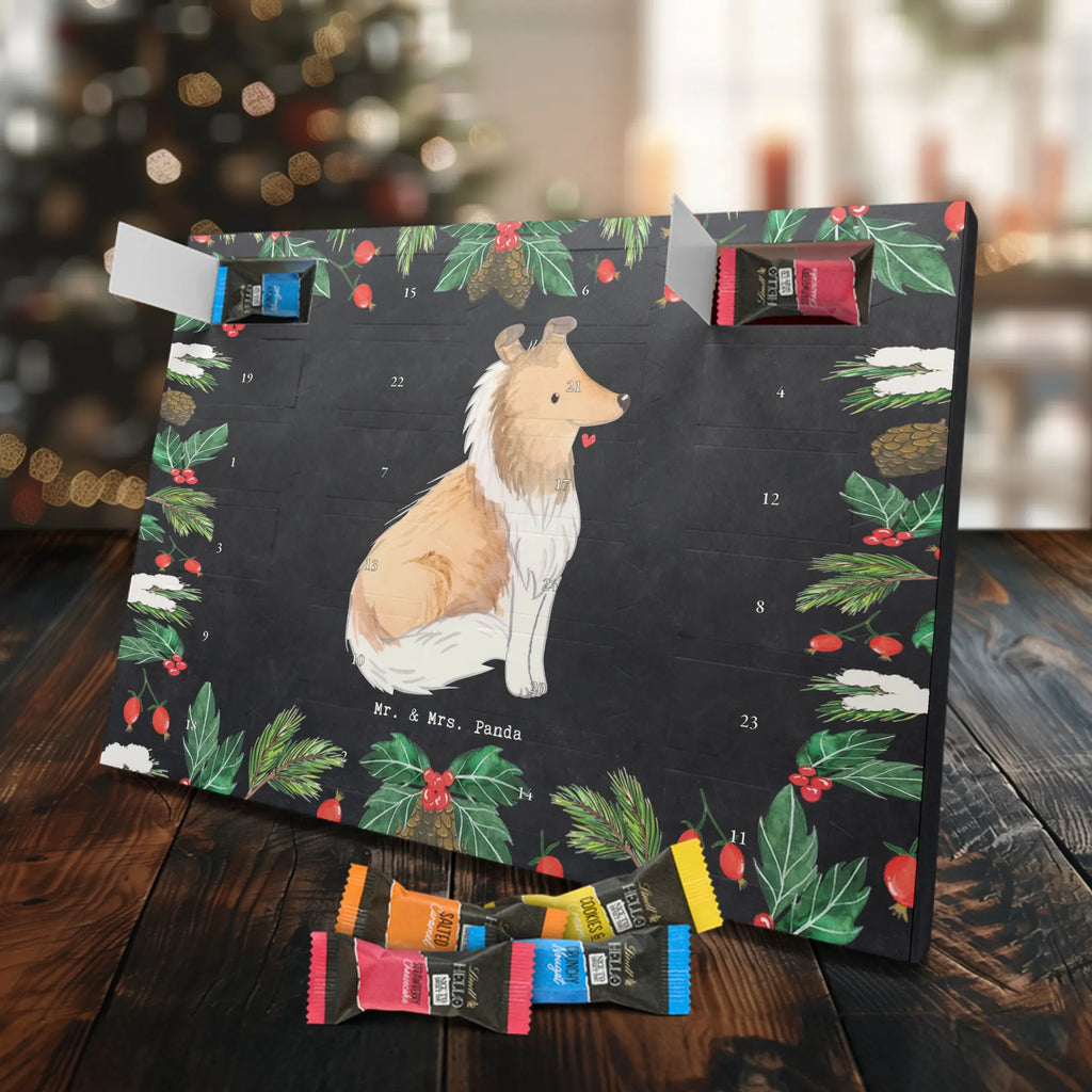 Chocolate advent calendar Long-haired Collie Moment puppy, dog owner, purebred dog, dog breed, giving, animal lover, gift