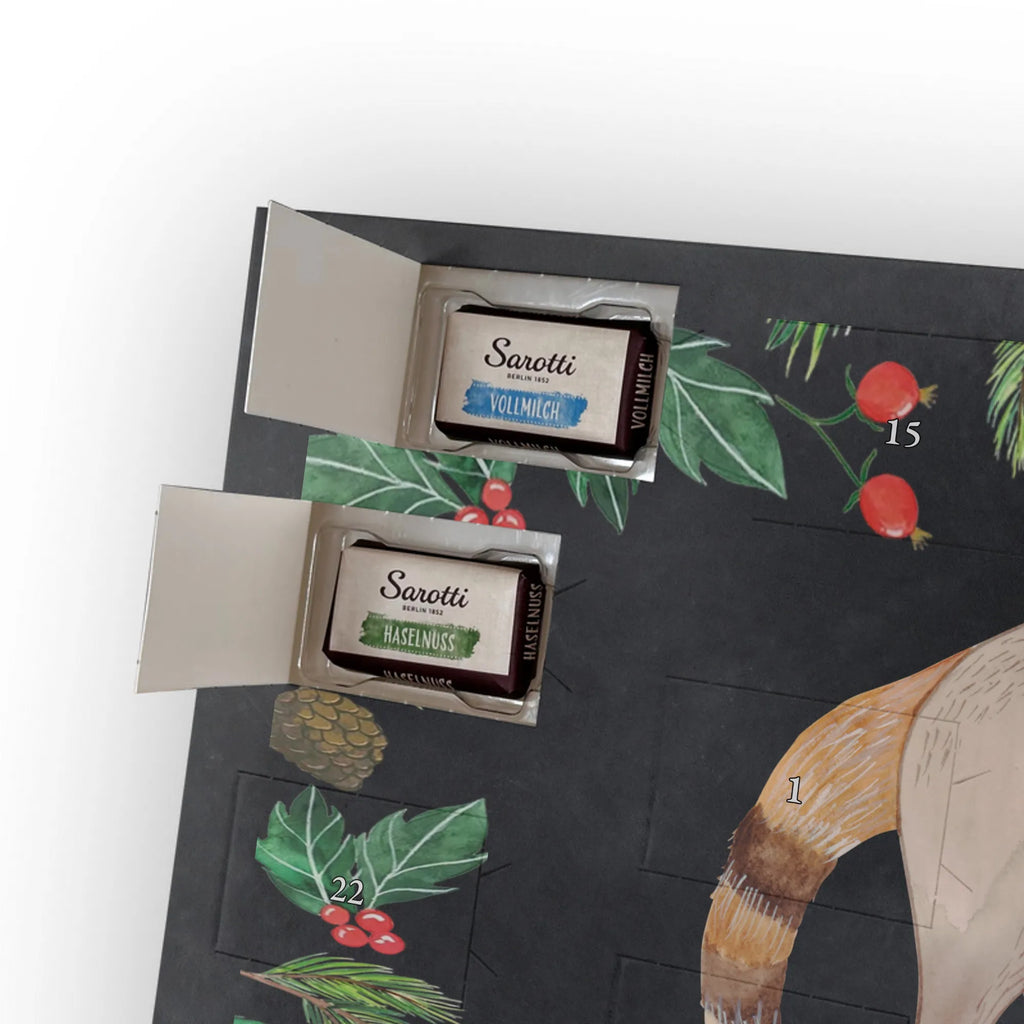 Chocolate advent calendar Coati gift ideas, gifts, small animals, good mood, cute, funny sayings, cute animal motives, hand drawn, special gifts, card, animal lover, Nose bear, trunk bear