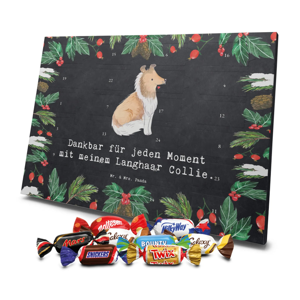 Chocolate advent calendar Long-haired Collie Moment puppy, dog owner, purebred dog, dog breed, giving, animal lover, gift
