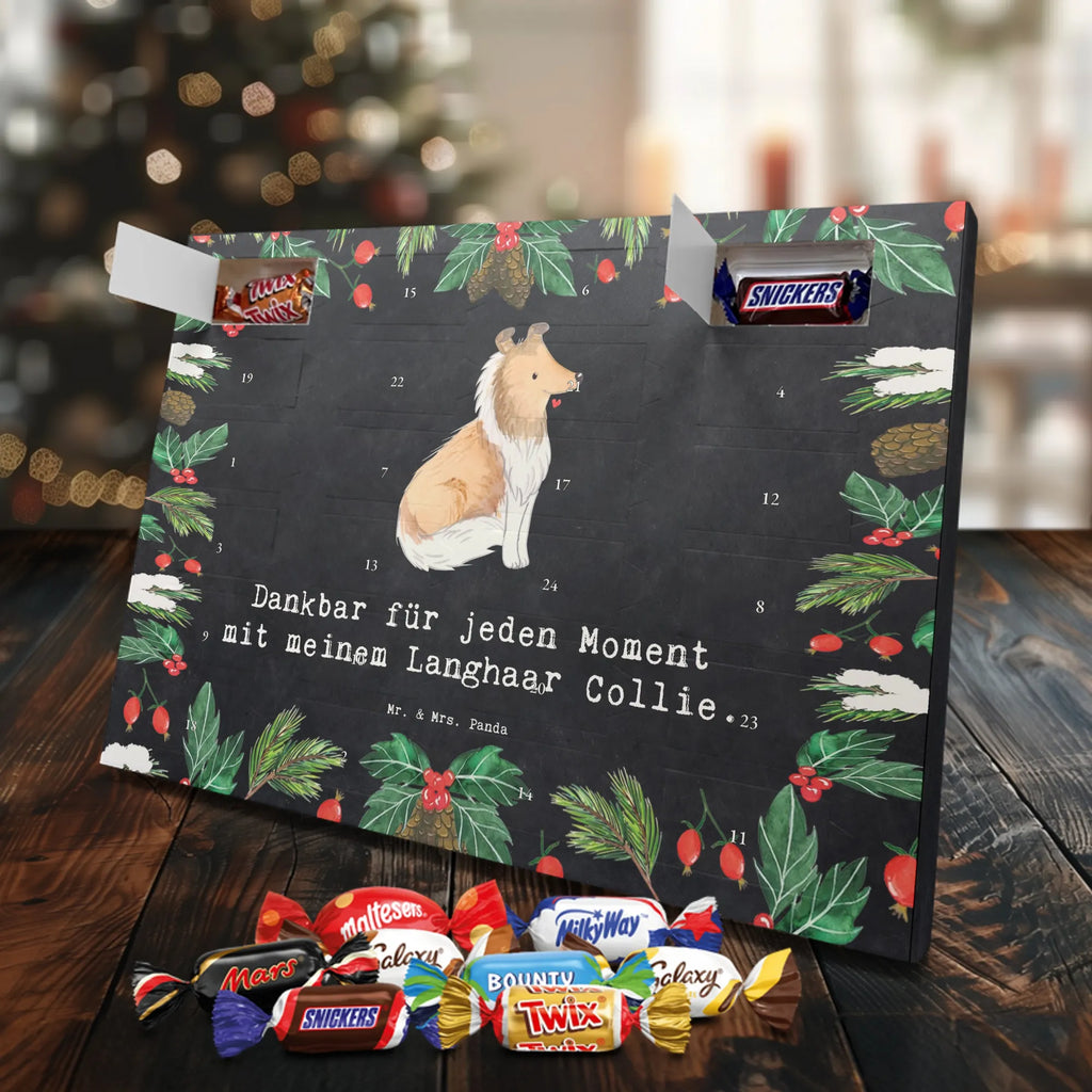 Chocolate advent calendar Long-haired Collie Moment puppy, dog owner, purebred dog, dog breed, giving, animal lover, gift