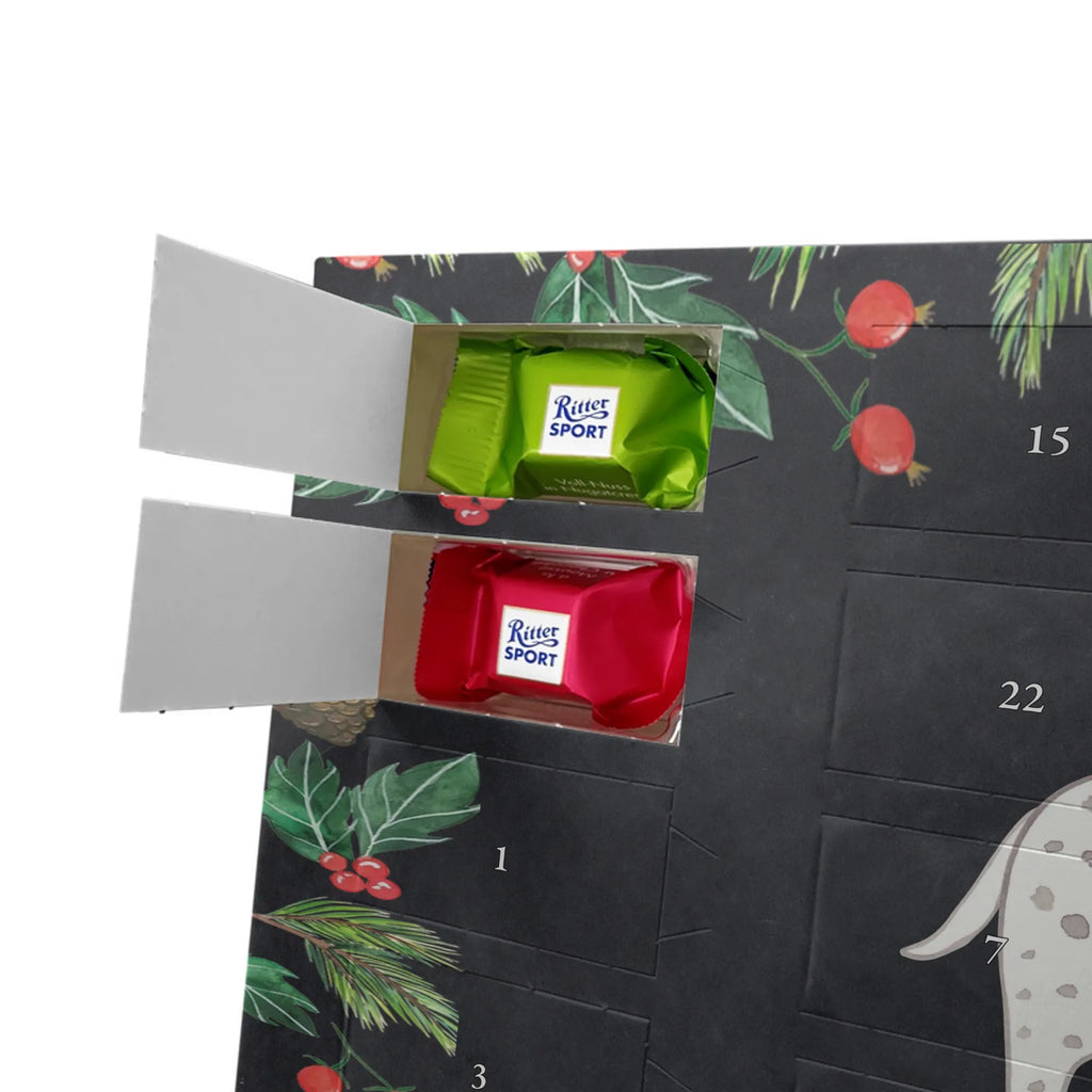 Adventskalender Dalmatiner Moment adventskalender mit schokolade, Adventskalender, adventskalender mit pralinen, schoko kalender, süßigkeiten kalender, schokoladen kalender, schoko weihnachtskalender, süßigkeiten adventskalender, Weihnachtskalender Schokolade, kalender schokolade, schokolade adventskalender, advent kalender, Schoko Adventskalender, schokoladenkalender, schokokalender, Schokoladen Adventskalender, Weihnachtskalender, adventskalender mit süßigkeiten, adventskalender süßigkeiten, weihnachtskalender schoko, pralinen adventskalender, Adventskalender Schokolade, adventskalender pralinen, Welpe, Tierfreund, Hundebesitzer, Rassehund, Hunderasse, Hund, Schenken, Geschenk, Dalmatiner, Dalmatinac