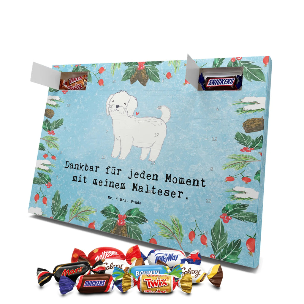 Adventskalender Malteser Moment Weihnachtskalender Schokolade, adventskalender mit pralinen, adventskalender süßigkeiten, weihnachtskalender schoko, Schoko Adventskalender, adventskalender pralinen, schokokalender, pralinen adventskalender, Schokoladen Adventskalender, schoko weihnachtskalender, advent kalender, kalender schokolade, adventskalender mit schokolade, süßigkeiten adventskalender, schoko kalender, Adventskalender Schokolade, süßigkeiten kalender, adventskalender mit süßigkeiten, Weihnachtskalender, Adventskalender, schokoladenkalender, schokolade adventskalender, schokoladen kalender, Welpe, Tierfreund, Hundebesitzer, Rassehund, Hunderasse, Hund, Schenken, Geschenk, Malteser
