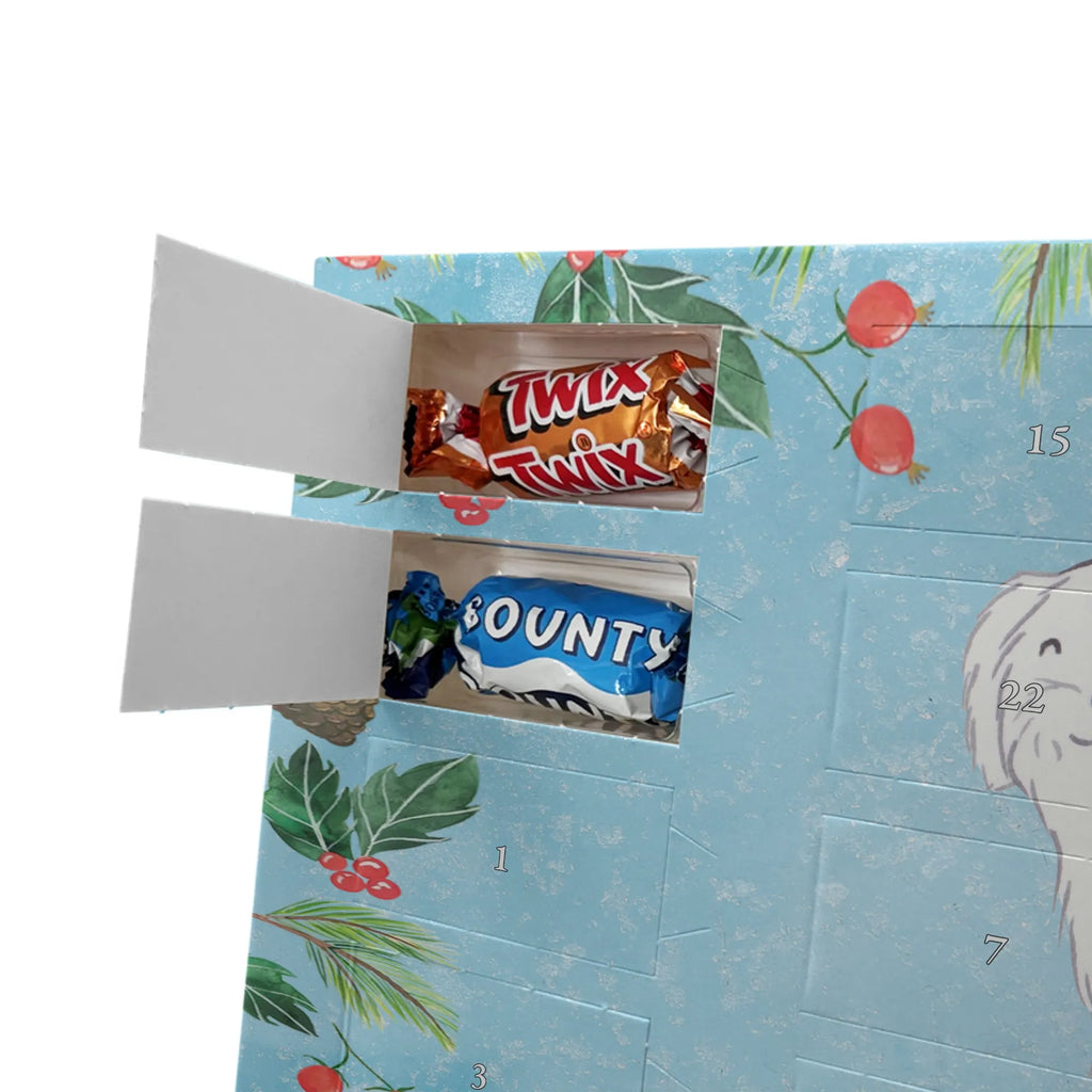 Adventskalender Malteser Moment Weihnachtskalender Schokolade, adventskalender mit pralinen, adventskalender süßigkeiten, weihnachtskalender schoko, Schoko Adventskalender, adventskalender pralinen, schokokalender, pralinen adventskalender, Schokoladen Adventskalender, schoko weihnachtskalender, advent kalender, kalender schokolade, adventskalender mit schokolade, süßigkeiten adventskalender, schoko kalender, Adventskalender Schokolade, süßigkeiten kalender, adventskalender mit süßigkeiten, Weihnachtskalender, Adventskalender, schokoladenkalender, schokolade adventskalender, schokoladen kalender, Welpe, Tierfreund, Hundebesitzer, Rassehund, Hunderasse, Hund, Schenken, Geschenk, Malteser