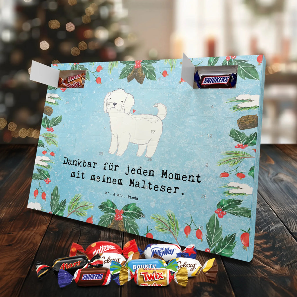 Adventskalender Malteser Moment Weihnachtskalender Schokolade, adventskalender mit pralinen, adventskalender süßigkeiten, weihnachtskalender schoko, Schoko Adventskalender, adventskalender pralinen, schokokalender, pralinen adventskalender, Schokoladen Adventskalender, schoko weihnachtskalender, advent kalender, kalender schokolade, adventskalender mit schokolade, süßigkeiten adventskalender, schoko kalender, Adventskalender Schokolade, süßigkeiten kalender, adventskalender mit süßigkeiten, Weihnachtskalender, Adventskalender, schokoladenkalender, schokolade adventskalender, schokoladen kalender, Welpe, Tierfreund, Hundebesitzer, Rassehund, Hunderasse, Hund, Schenken, Geschenk, Malteser