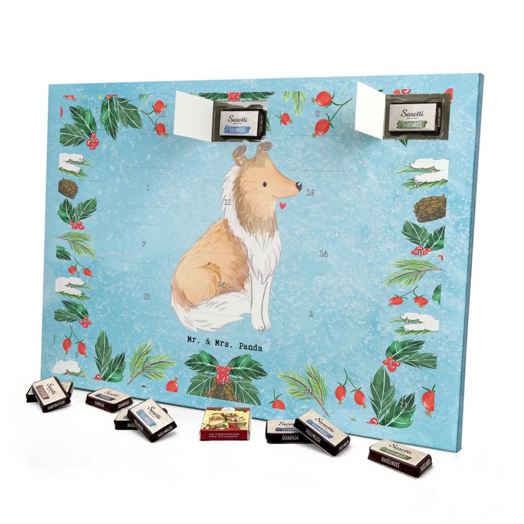 Chocolate advent calendar Long-haired Collie Moment puppy, dog owner, purebred dog, dog breed, giving, animal lover, gift