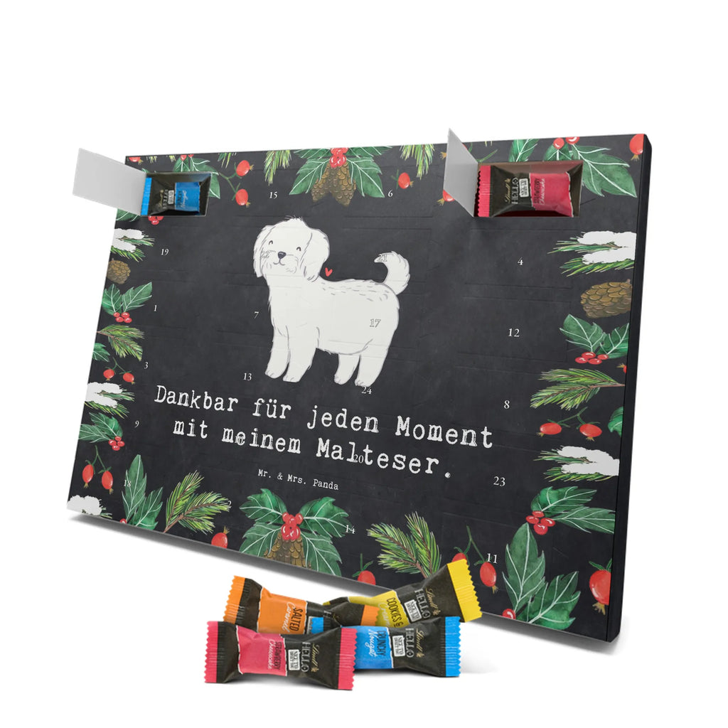 Adventskalender Malteser Moment Weihnachtskalender Schokolade, adventskalender mit pralinen, adventskalender süßigkeiten, weihnachtskalender schoko, Schoko Adventskalender, adventskalender pralinen, schokokalender, pralinen adventskalender, Schokoladen Adventskalender, schoko weihnachtskalender, advent kalender, kalender schokolade, adventskalender mit schokolade, süßigkeiten adventskalender, schoko kalender, Adventskalender Schokolade, süßigkeiten kalender, adventskalender mit süßigkeiten, Weihnachtskalender, Adventskalender, schokoladenkalender, schokolade adventskalender, schokoladen kalender, Welpe, Tierfreund, Hundebesitzer, Rassehund, Hunderasse, Hund, Schenken, Geschenk, Malteser