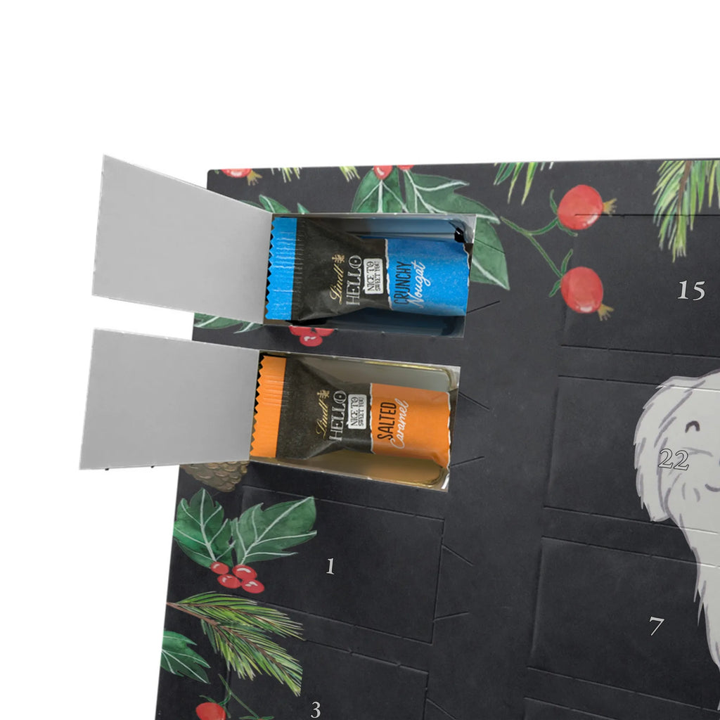 Adventskalender Malteser Moment Weihnachtskalender Schokolade, adventskalender mit pralinen, adventskalender süßigkeiten, weihnachtskalender schoko, Schoko Adventskalender, adventskalender pralinen, schokokalender, pralinen adventskalender, Schokoladen Adventskalender, schoko weihnachtskalender, advent kalender, kalender schokolade, adventskalender mit schokolade, süßigkeiten adventskalender, schoko kalender, Adventskalender Schokolade, süßigkeiten kalender, adventskalender mit süßigkeiten, Weihnachtskalender, Adventskalender, schokoladenkalender, schokolade adventskalender, schokoladen kalender, Welpe, Tierfreund, Hundebesitzer, Rassehund, Hunderasse, Hund, Schenken, Geschenk, Malteser