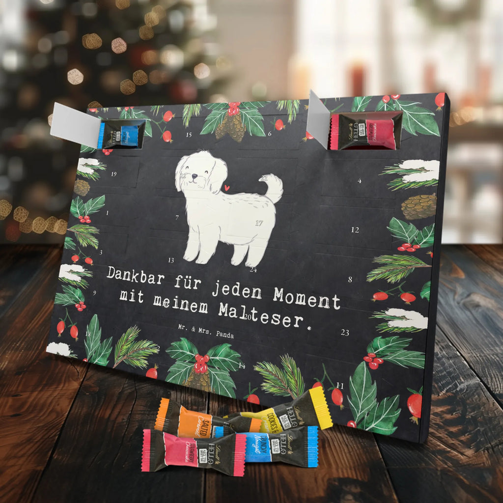 Adventskalender Malteser Moment Weihnachtskalender Schokolade, adventskalender mit pralinen, adventskalender süßigkeiten, weihnachtskalender schoko, Schoko Adventskalender, adventskalender pralinen, schokokalender, pralinen adventskalender, Schokoladen Adventskalender, schoko weihnachtskalender, advent kalender, kalender schokolade, adventskalender mit schokolade, süßigkeiten adventskalender, schoko kalender, Adventskalender Schokolade, süßigkeiten kalender, adventskalender mit süßigkeiten, Weihnachtskalender, Adventskalender, schokoladenkalender, schokolade adventskalender, schokoladen kalender, Welpe, Tierfreund, Hundebesitzer, Rassehund, Hunderasse, Hund, Schenken, Geschenk, Malteser