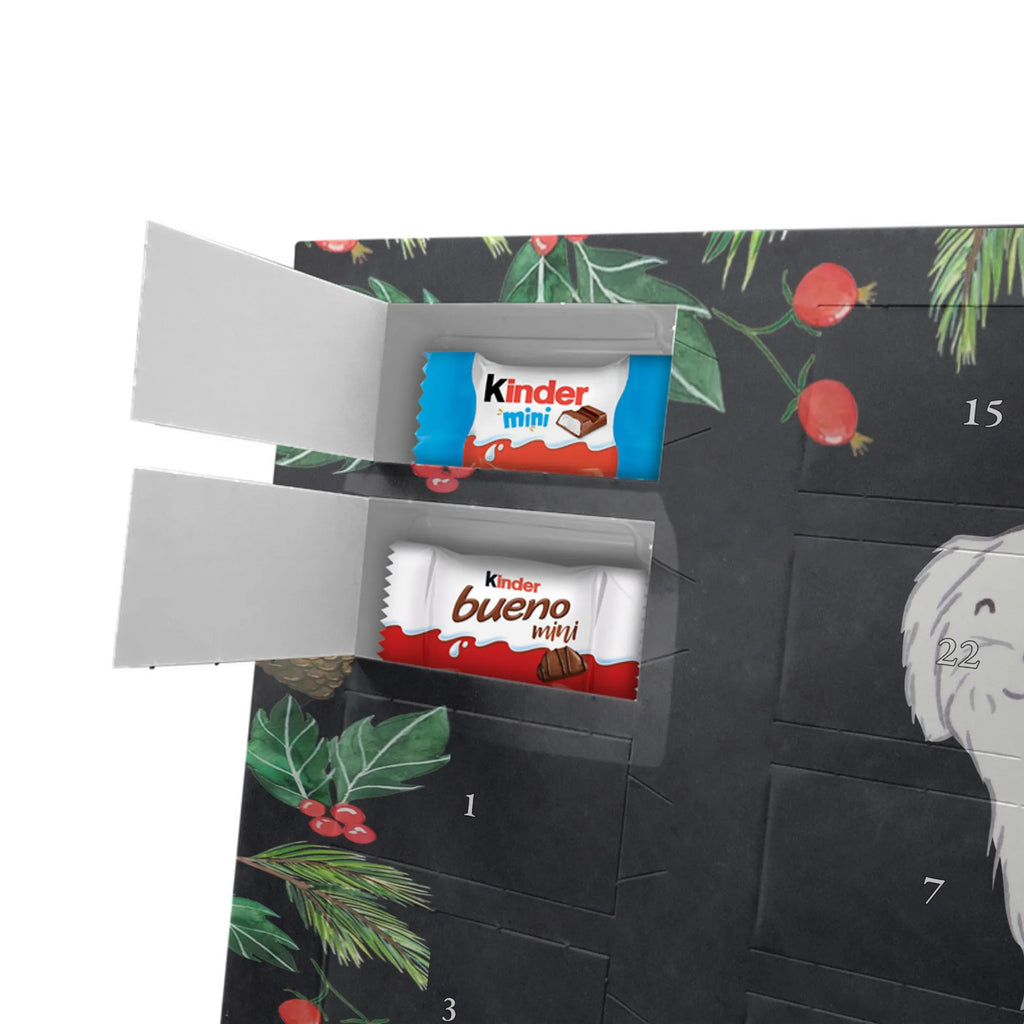 Adventskalender Malteser Moment Weihnachtskalender Schokolade, adventskalender mit pralinen, adventskalender süßigkeiten, weihnachtskalender schoko, Schoko Adventskalender, adventskalender pralinen, schokokalender, pralinen adventskalender, Schokoladen Adventskalender, schoko weihnachtskalender, advent kalender, kalender schokolade, adventskalender mit schokolade, süßigkeiten adventskalender, schoko kalender, Adventskalender Schokolade, süßigkeiten kalender, adventskalender mit süßigkeiten, Weihnachtskalender, Adventskalender, schokoladenkalender, schokolade adventskalender, schokoladen kalender, Welpe, Tierfreund, Hundebesitzer, Rassehund, Hunderasse, Hund, Schenken, Geschenk, Malteser