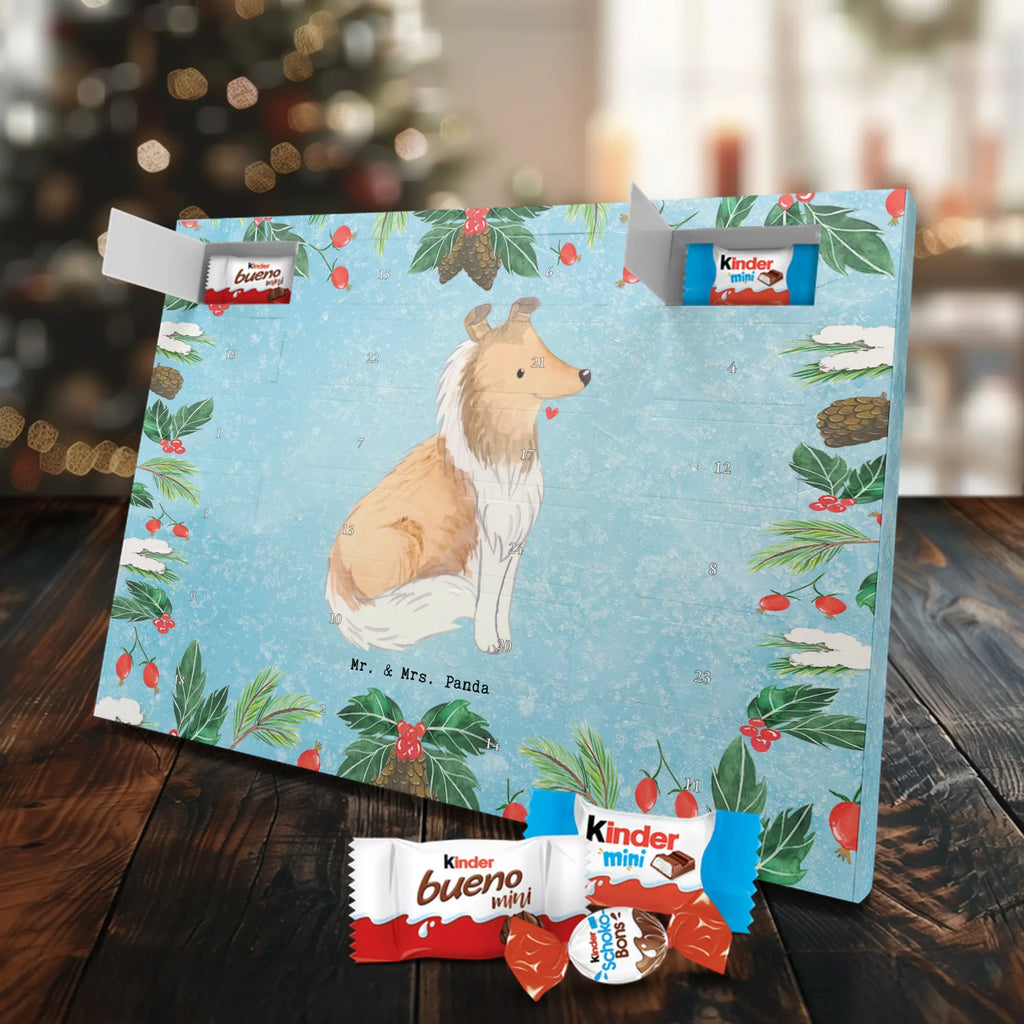 Chocolate advent calendar Long-haired Collie Moment puppy, dog owner, purebred dog, dog breed, giving, animal lover, gift