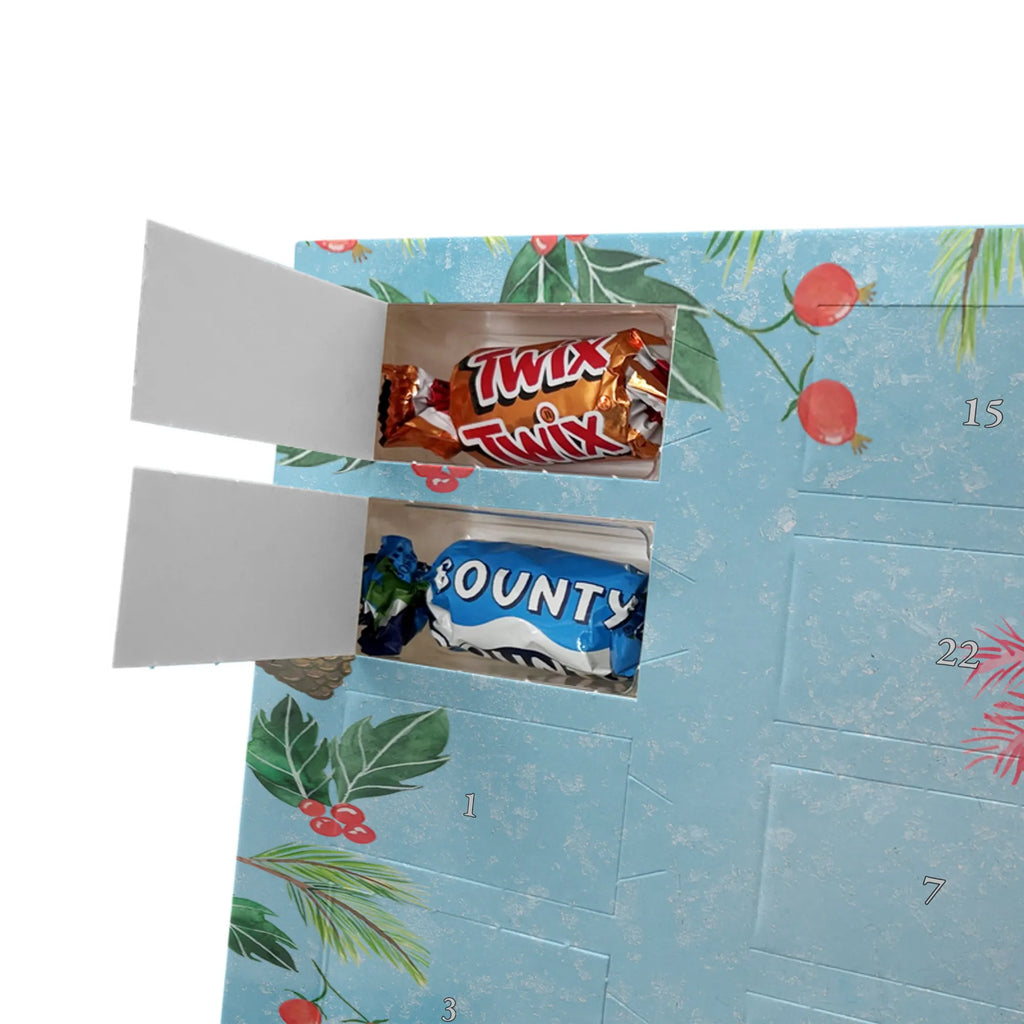 Chocolate advent calendar axolotl Happy Mexican walking fish, Axelotl, marine animals, salamander, amphibian, good mood, tail