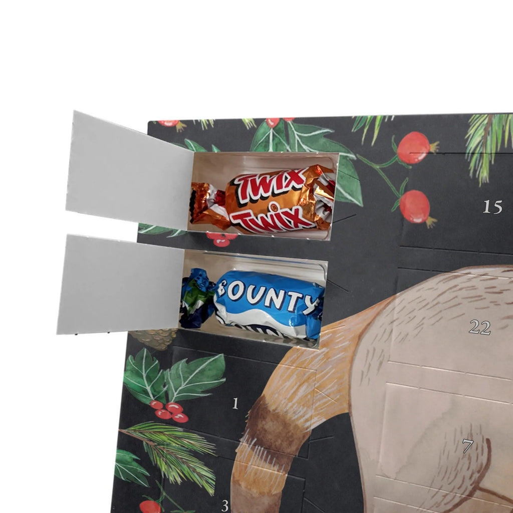 Chocolate advent calendar Coati gift ideas, gifts, small animals, good mood, cute, funny sayings, cute animal motives, hand drawn, special gifts, card, animal lover, Nose bear, trunk bear