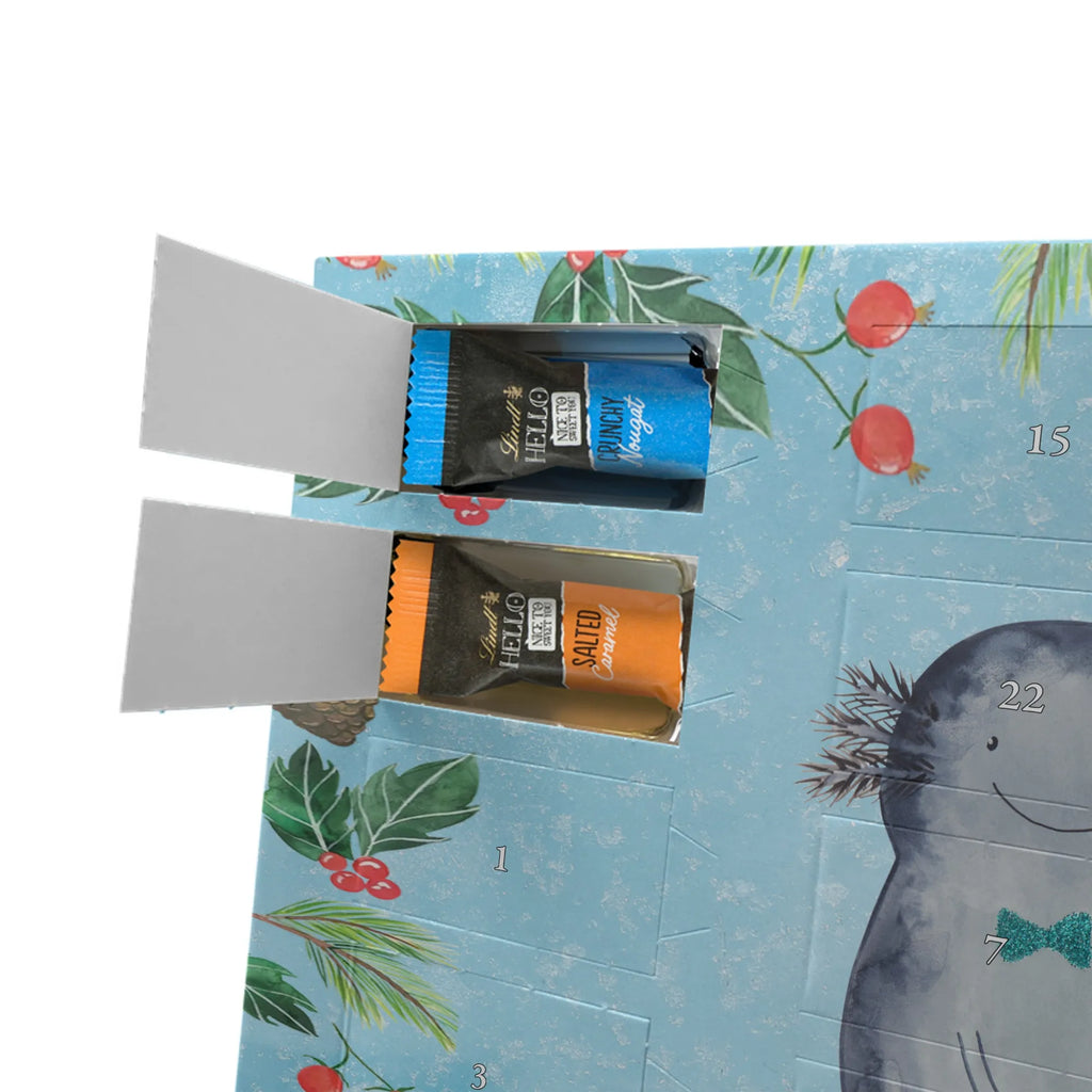 Chocolate advent calendar axolotl Girlfriend Mexican walking fish, Axelotl, marine animals, salamander, amphibian, husband, valentine's day, great love, friend, tail, fiancé, anniversary, proof of love