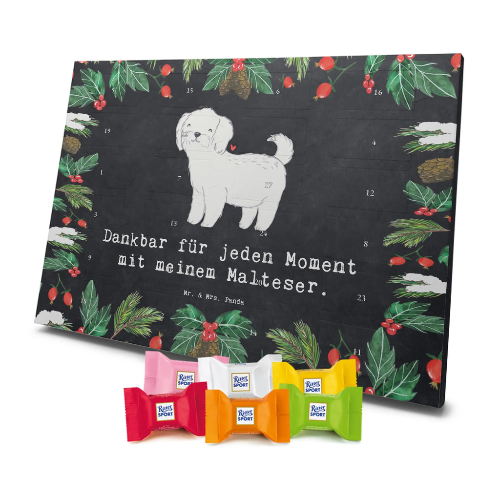 Adventskalender Malteser Moment Weihnachtskalender Schokolade, adventskalender mit pralinen, adventskalender süßigkeiten, weihnachtskalender schoko, Schoko Adventskalender, adventskalender pralinen, schokokalender, pralinen adventskalender, Schokoladen Adventskalender, schoko weihnachtskalender, advent kalender, kalender schokolade, adventskalender mit schokolade, süßigkeiten adventskalender, schoko kalender, Adventskalender Schokolade, süßigkeiten kalender, adventskalender mit süßigkeiten, Weihnachtskalender, Adventskalender, schokoladenkalender, schokolade adventskalender, schokoladen kalender, Welpe, Tierfreund, Hundebesitzer, Rassehund, Hunderasse, Hund, Schenken, Geschenk, Malteser