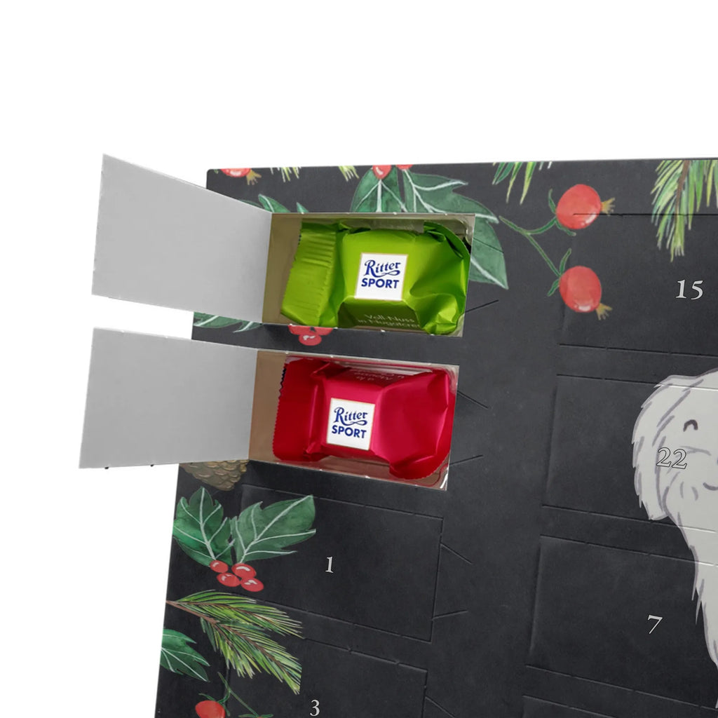 Adventskalender Malteser Moment Weihnachtskalender Schokolade, adventskalender mit pralinen, adventskalender süßigkeiten, weihnachtskalender schoko, Schoko Adventskalender, adventskalender pralinen, schokokalender, pralinen adventskalender, Schokoladen Adventskalender, schoko weihnachtskalender, advent kalender, kalender schokolade, adventskalender mit schokolade, süßigkeiten adventskalender, schoko kalender, Adventskalender Schokolade, süßigkeiten kalender, adventskalender mit süßigkeiten, Weihnachtskalender, Adventskalender, schokoladenkalender, schokolade adventskalender, schokoladen kalender, Welpe, Tierfreund, Hundebesitzer, Rassehund, Hunderasse, Hund, Schenken, Geschenk, Malteser