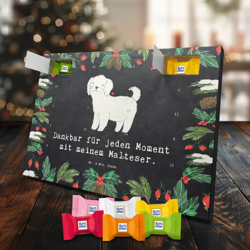 Adventskalender Malteser Moment Weihnachtskalender Schokolade, adventskalender mit pralinen, adventskalender süßigkeiten, weihnachtskalender schoko, Schoko Adventskalender, adventskalender pralinen, schokokalender, pralinen adventskalender, Schokoladen Adventskalender, schoko weihnachtskalender, advent kalender, kalender schokolade, adventskalender mit schokolade, süßigkeiten adventskalender, schoko kalender, Adventskalender Schokolade, süßigkeiten kalender, adventskalender mit süßigkeiten, Weihnachtskalender, Adventskalender, schokoladenkalender, schokolade adventskalender, schokoladen kalender, Welpe, Tierfreund, Hundebesitzer, Rassehund, Hunderasse, Hund, Schenken, Geschenk, Malteser