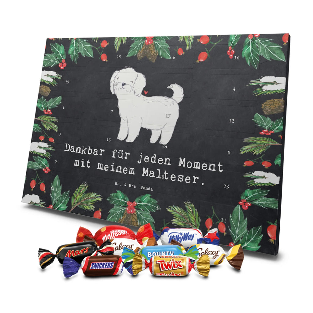 Adventskalender Malteser Moment Weihnachtskalender Schokolade, adventskalender mit pralinen, adventskalender süßigkeiten, weihnachtskalender schoko, Schoko Adventskalender, adventskalender pralinen, schokokalender, pralinen adventskalender, Schokoladen Adventskalender, schoko weihnachtskalender, advent kalender, kalender schokolade, adventskalender mit schokolade, süßigkeiten adventskalender, schoko kalender, Adventskalender Schokolade, süßigkeiten kalender, adventskalender mit süßigkeiten, Weihnachtskalender, Adventskalender, schokoladenkalender, schokolade adventskalender, schokoladen kalender, Welpe, Tierfreund, Hundebesitzer, Rassehund, Hunderasse, Hund, Schenken, Geschenk, Malteser
