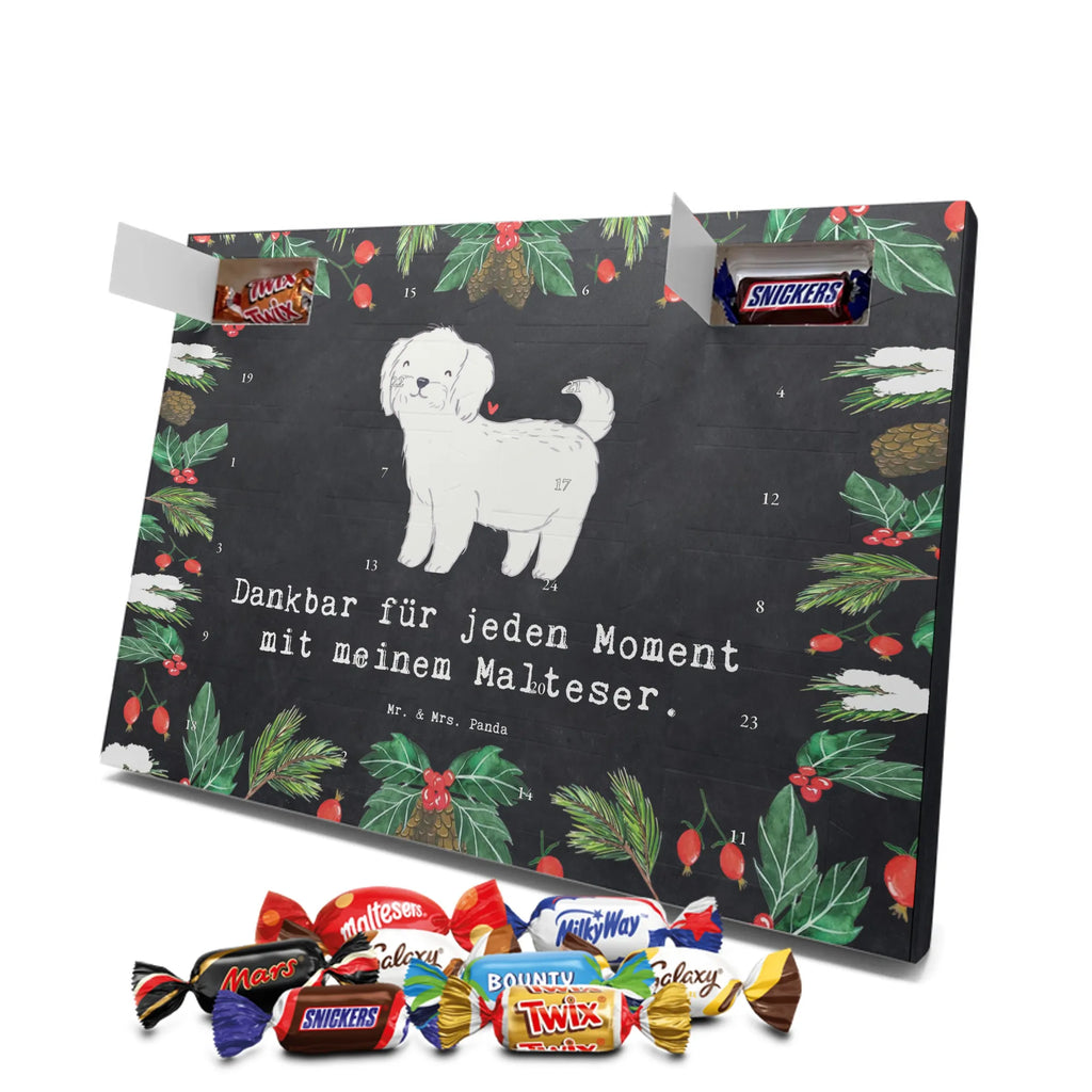 Adventskalender Malteser Moment Weihnachtskalender Schokolade, adventskalender mit pralinen, adventskalender süßigkeiten, weihnachtskalender schoko, Schoko Adventskalender, adventskalender pralinen, schokokalender, pralinen adventskalender, Schokoladen Adventskalender, schoko weihnachtskalender, advent kalender, kalender schokolade, adventskalender mit schokolade, süßigkeiten adventskalender, schoko kalender, Adventskalender Schokolade, süßigkeiten kalender, adventskalender mit süßigkeiten, Weihnachtskalender, Adventskalender, schokoladenkalender, schokolade adventskalender, schokoladen kalender, Welpe, Tierfreund, Hundebesitzer, Rassehund, Hunderasse, Hund, Schenken, Geschenk, Malteser