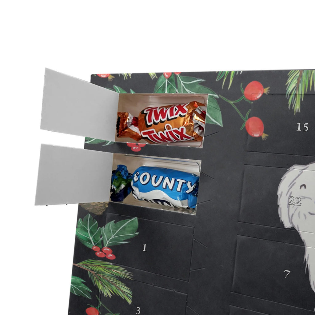Adventskalender Malteser Moment Weihnachtskalender Schokolade, adventskalender mit pralinen, adventskalender süßigkeiten, weihnachtskalender schoko, Schoko Adventskalender, adventskalender pralinen, schokokalender, pralinen adventskalender, Schokoladen Adventskalender, schoko weihnachtskalender, advent kalender, kalender schokolade, adventskalender mit schokolade, süßigkeiten adventskalender, schoko kalender, Adventskalender Schokolade, süßigkeiten kalender, adventskalender mit süßigkeiten, Weihnachtskalender, Adventskalender, schokoladenkalender, schokolade adventskalender, schokoladen kalender, Welpe, Tierfreund, Hundebesitzer, Rassehund, Hunderasse, Hund, Schenken, Geschenk, Malteser
