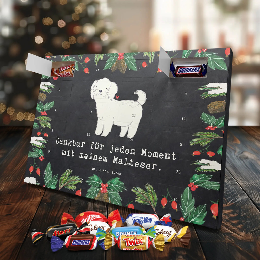 Adventskalender Malteser Moment Weihnachtskalender Schokolade, adventskalender mit pralinen, adventskalender süßigkeiten, weihnachtskalender schoko, Schoko Adventskalender, adventskalender pralinen, schokokalender, pralinen adventskalender, Schokoladen Adventskalender, schoko weihnachtskalender, advent kalender, kalender schokolade, adventskalender mit schokolade, süßigkeiten adventskalender, schoko kalender, Adventskalender Schokolade, süßigkeiten kalender, adventskalender mit süßigkeiten, Weihnachtskalender, Adventskalender, schokoladenkalender, schokolade adventskalender, schokoladen kalender, Welpe, Tierfreund, Hundebesitzer, Rassehund, Hunderasse, Hund, Schenken, Geschenk, Malteser