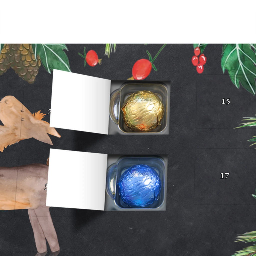 Chocolate advent calendar lama Proud Llama, alpaca, trendy animal, Girlfriend, Different, Best friend, Proud, Llamas, Outsider, Girlfriends, New start