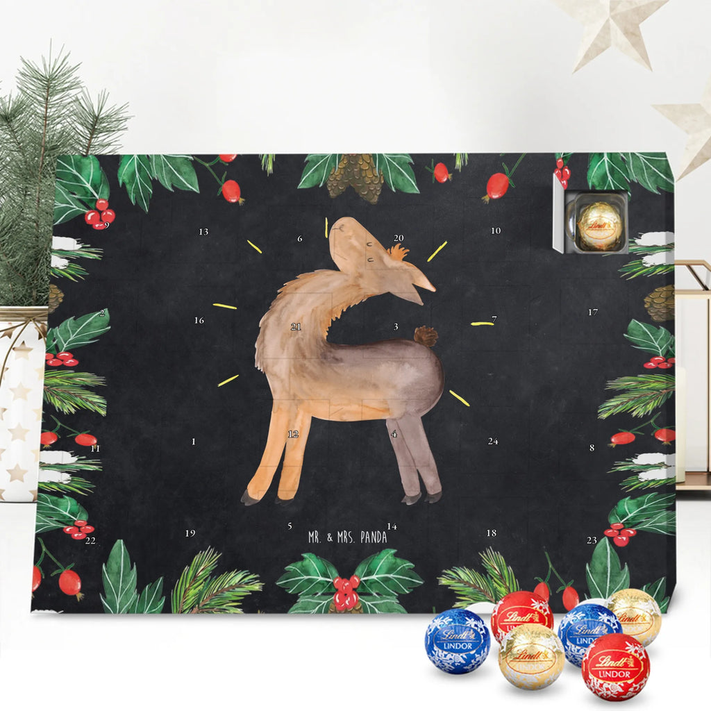 Chocolate advent calendar lama Proud Llama, alpaca, trendy animal, Girlfriend, Different, Best friend, Proud, Llamas, Outsider, Girlfriends, New start