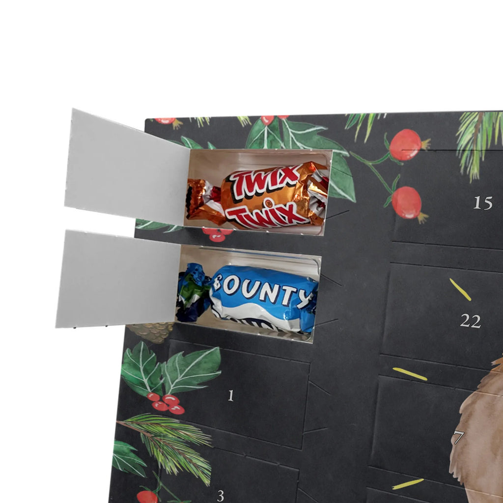 Chocolate advent calendar lama Proud Llama, alpaca, trendy animal, Girlfriend, Different, Best friend, Proud, Llamas, Outsider, Girlfriends, New start