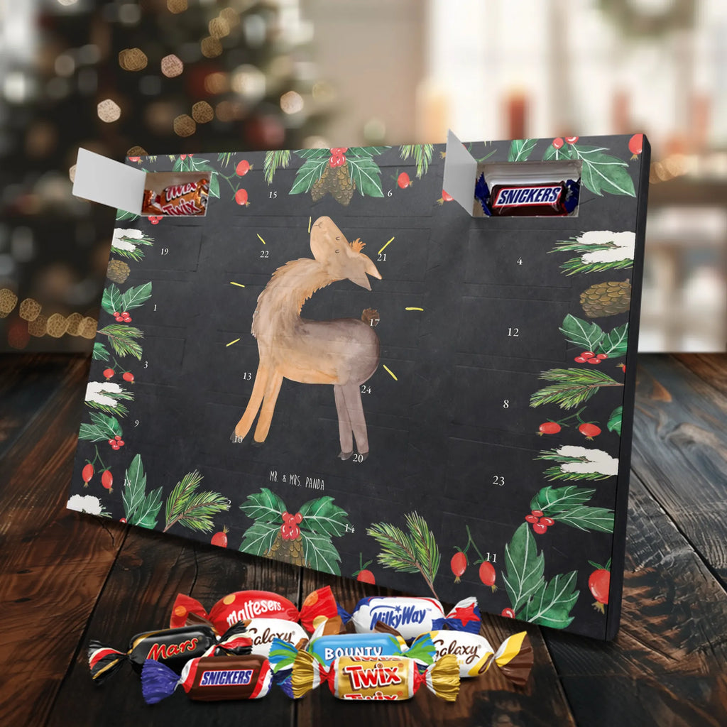 Chocolate advent calendar lama Proud Llama, alpaca, trendy animal, Girlfriend, Different, Best friend, Proud, Llamas, Outsider, Girlfriends, New start