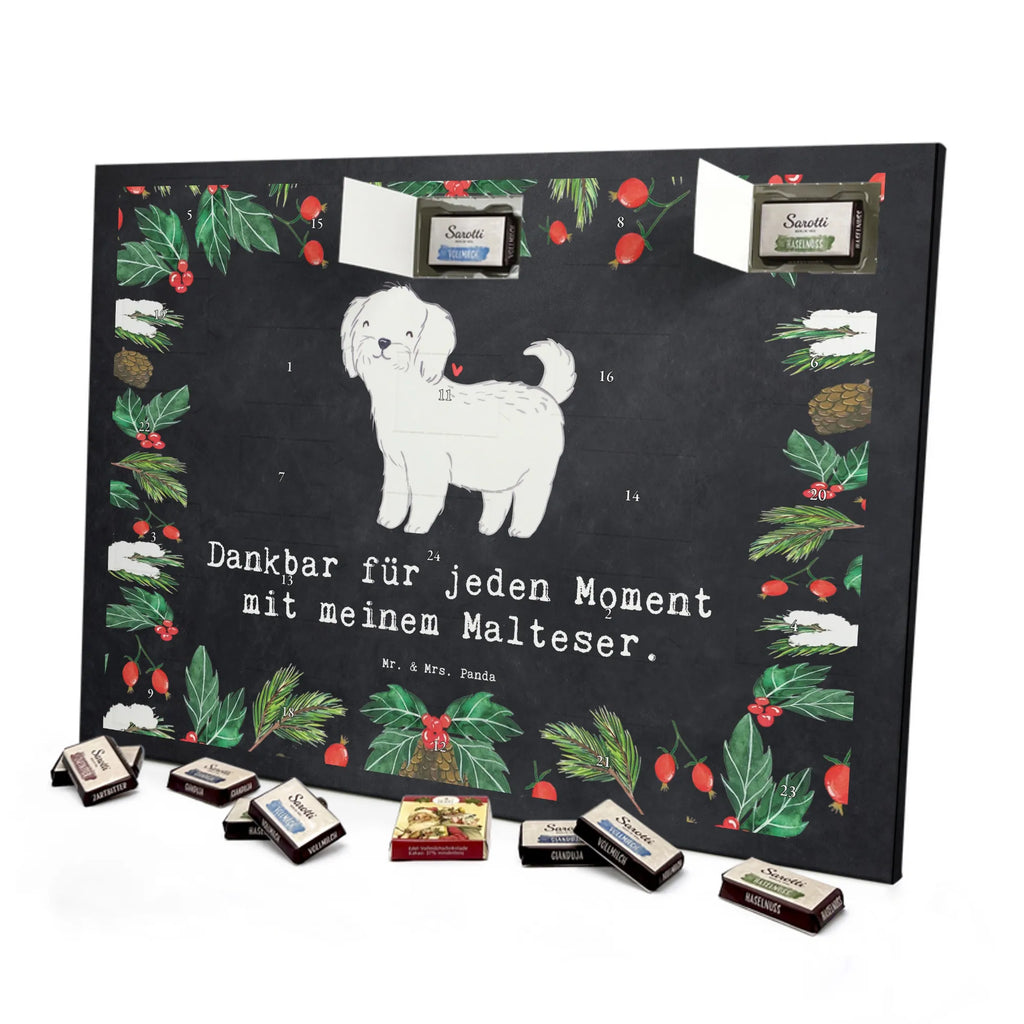 Adventskalender Malteser Moment Weihnachtskalender Schokolade, adventskalender mit pralinen, adventskalender süßigkeiten, weihnachtskalender schoko, Schoko Adventskalender, adventskalender pralinen, schokokalender, pralinen adventskalender, Schokoladen Adventskalender, schoko weihnachtskalender, advent kalender, kalender schokolade, adventskalender mit schokolade, süßigkeiten adventskalender, schoko kalender, Adventskalender Schokolade, süßigkeiten kalender, adventskalender mit süßigkeiten, Weihnachtskalender, Adventskalender, schokoladenkalender, schokolade adventskalender, schokoladen kalender, Welpe, Tierfreund, Hundebesitzer, Rassehund, Hunderasse, Hund, Schenken, Geschenk, Malteser